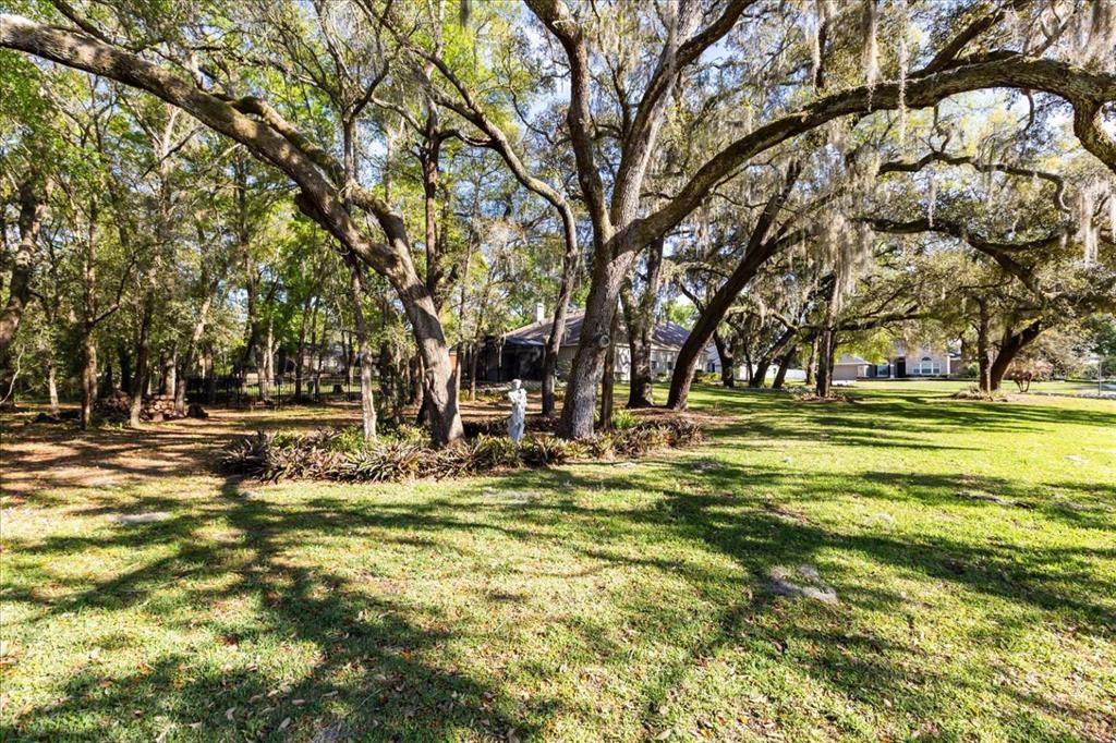 597 Sand Wedge Loop Apopka, FL 32712 - Photo 60 of 71