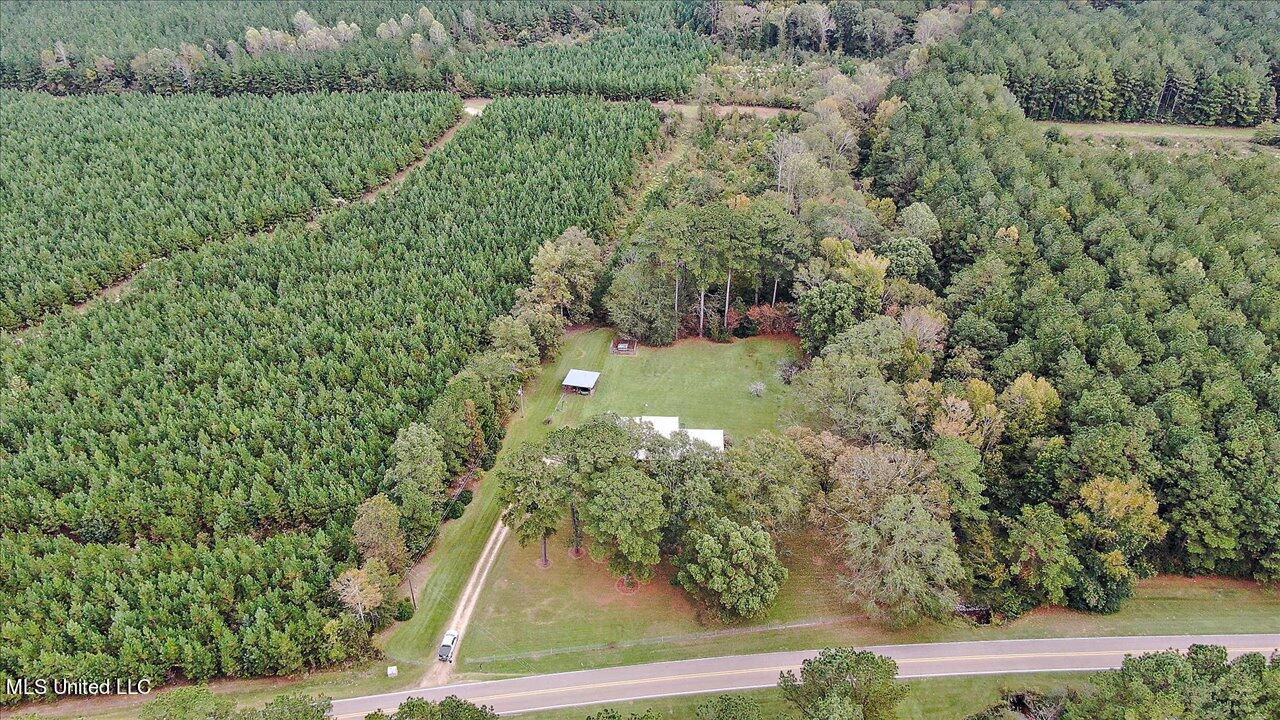 1853 Wade Patrick Road Braxton, MS 39044 - Photo 36 of 43 36-1853 Wade Patrick Rd