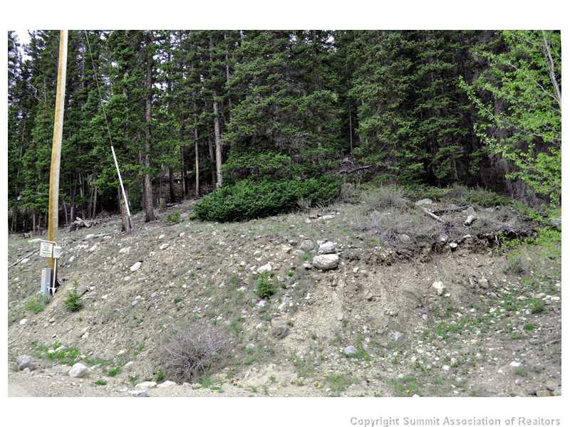 1351 Quartzville Road Alma, CO 80420 - Photo 5 of 16 Gallery Image 5