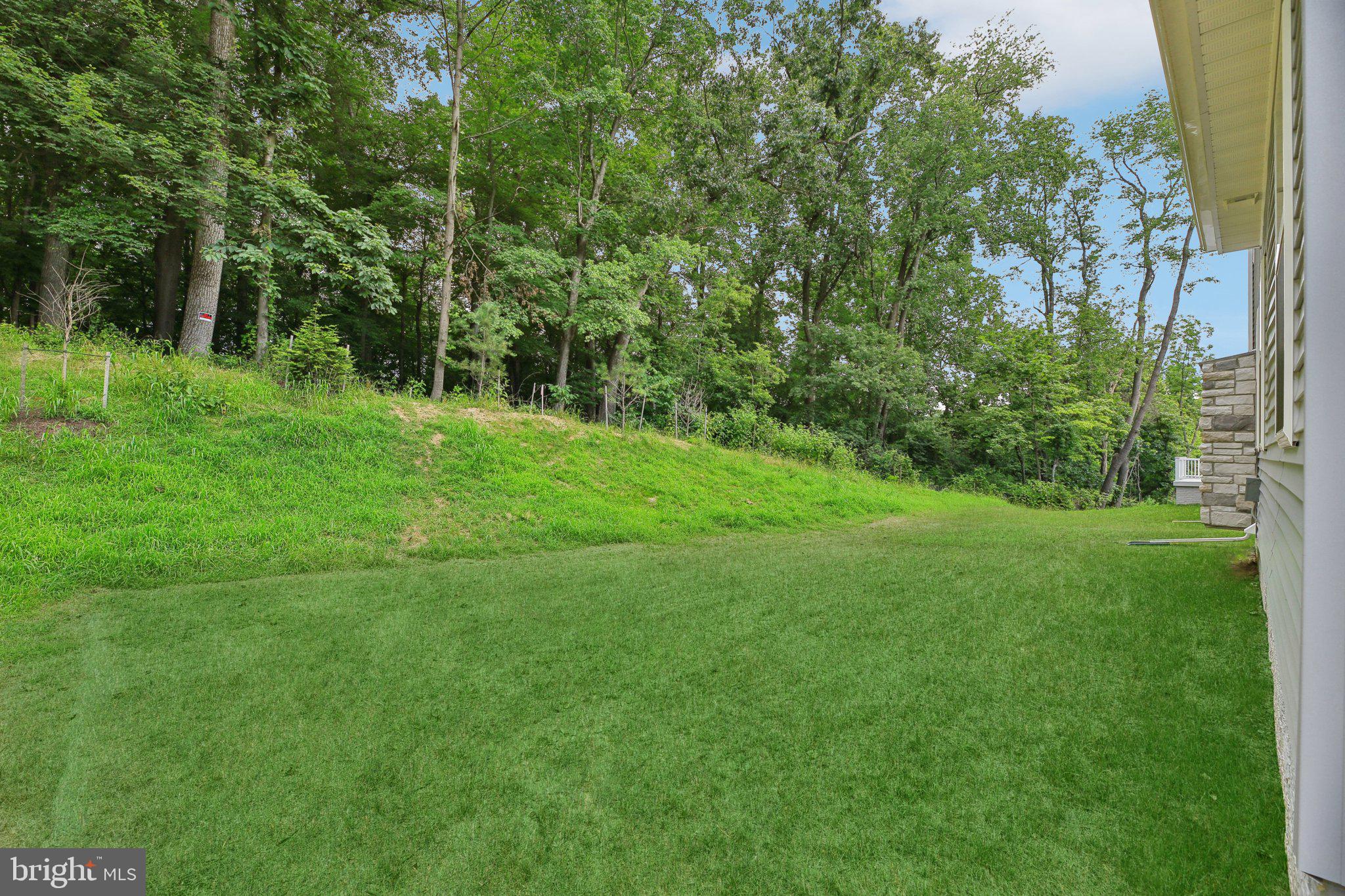 1823 Colt Lane Frederick, MD 21702 - Photo 61 of 66