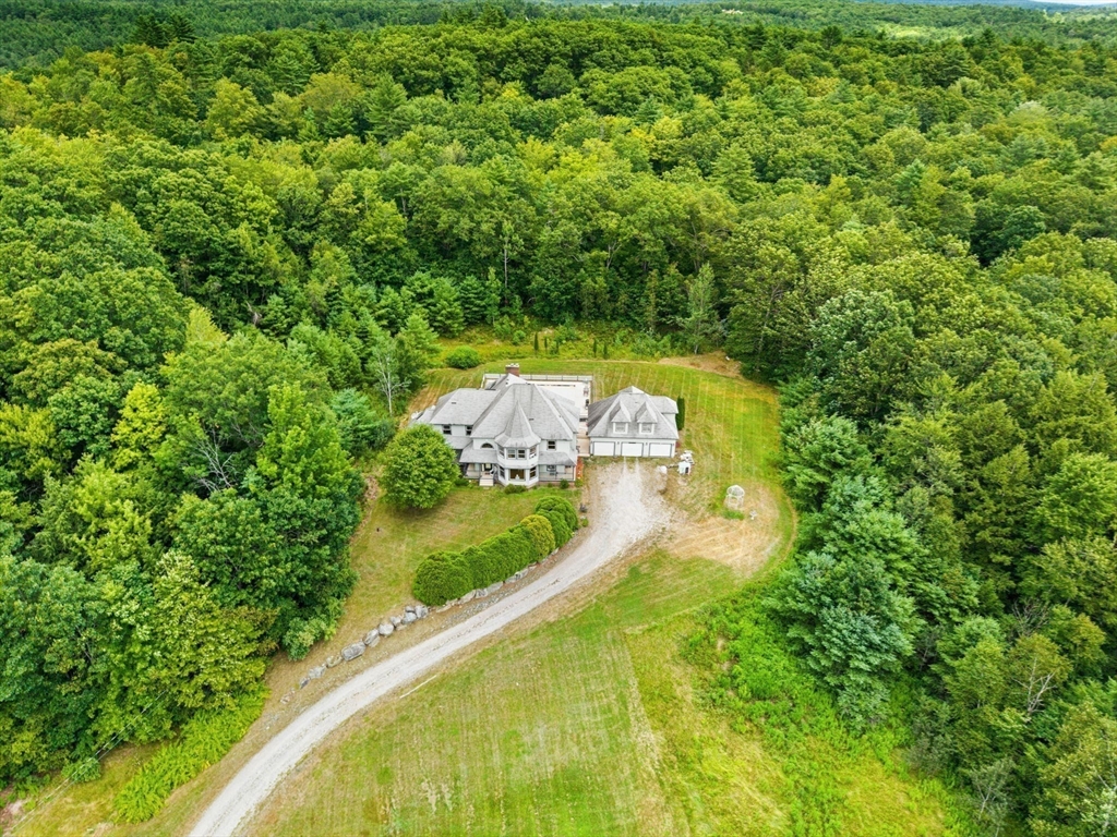 a view of a yard with large trees