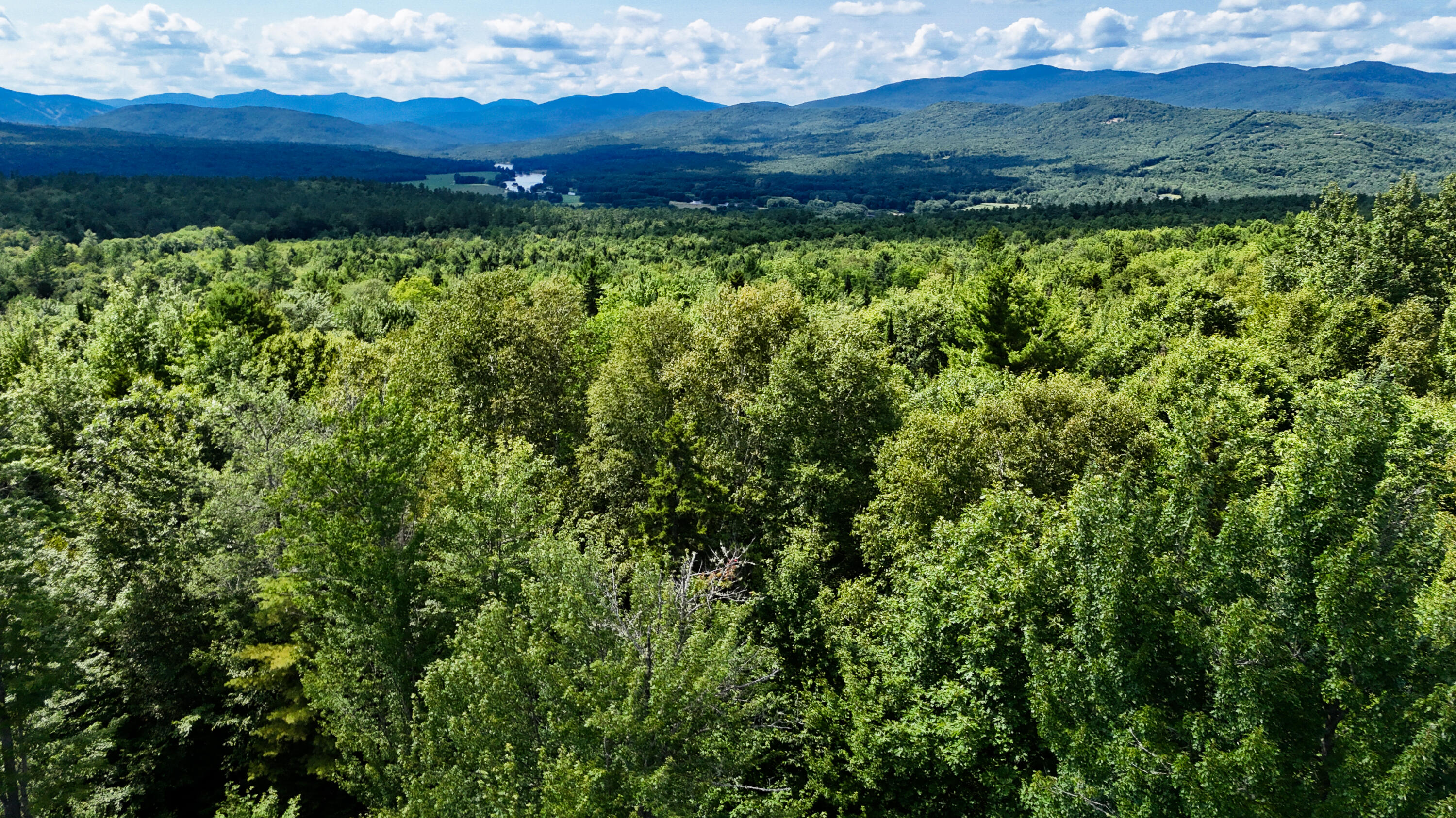 Tbd Tbd Tara's Way Bethel, ME 04217 - Photo 4 of 7 joe--28
