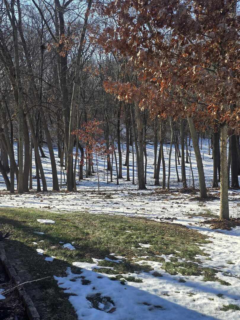 12719 Garden Plain Road Morrison, IL 61270 - Photo 14 of 85 a view of a backyard with large trees