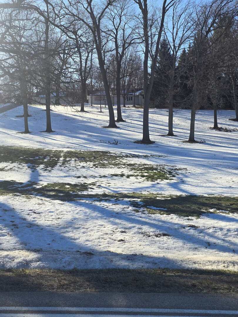 12719 Garden Plain Road Morrison, IL 61270 - Photo 3 of 85 a view of a yard with large trees