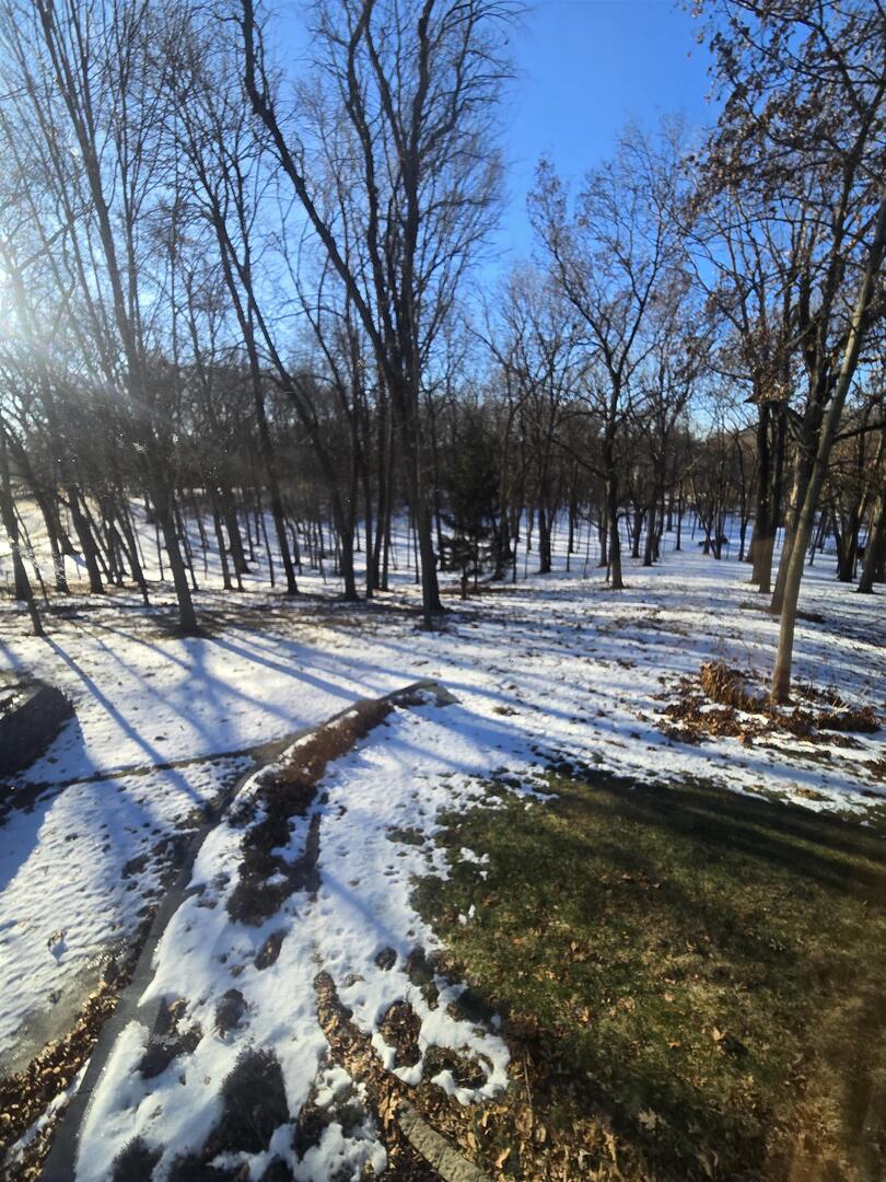 12719 Garden Plain Road Morrison, IL 61270 - Photo 72 of 85 a view of a yard with large trees