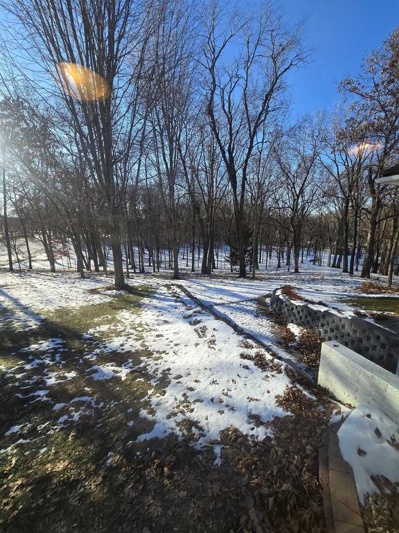 12719 Garden Plain Road Morrison, IL 61270 - Photo 73 of 85 a view of road with covered with trees