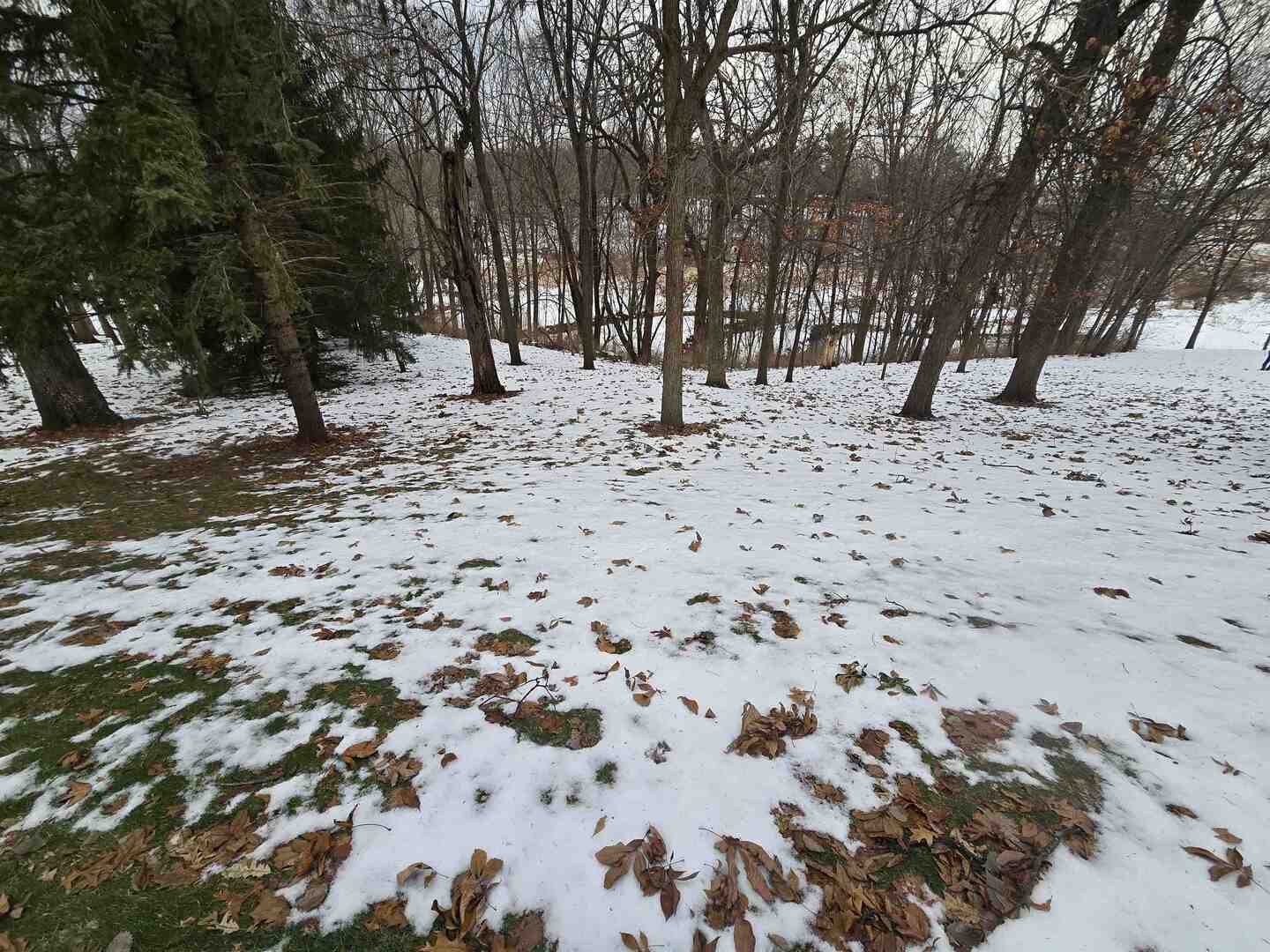 12719 Garden Plain Road Morrison, IL 61270 - Photo 80 of 85