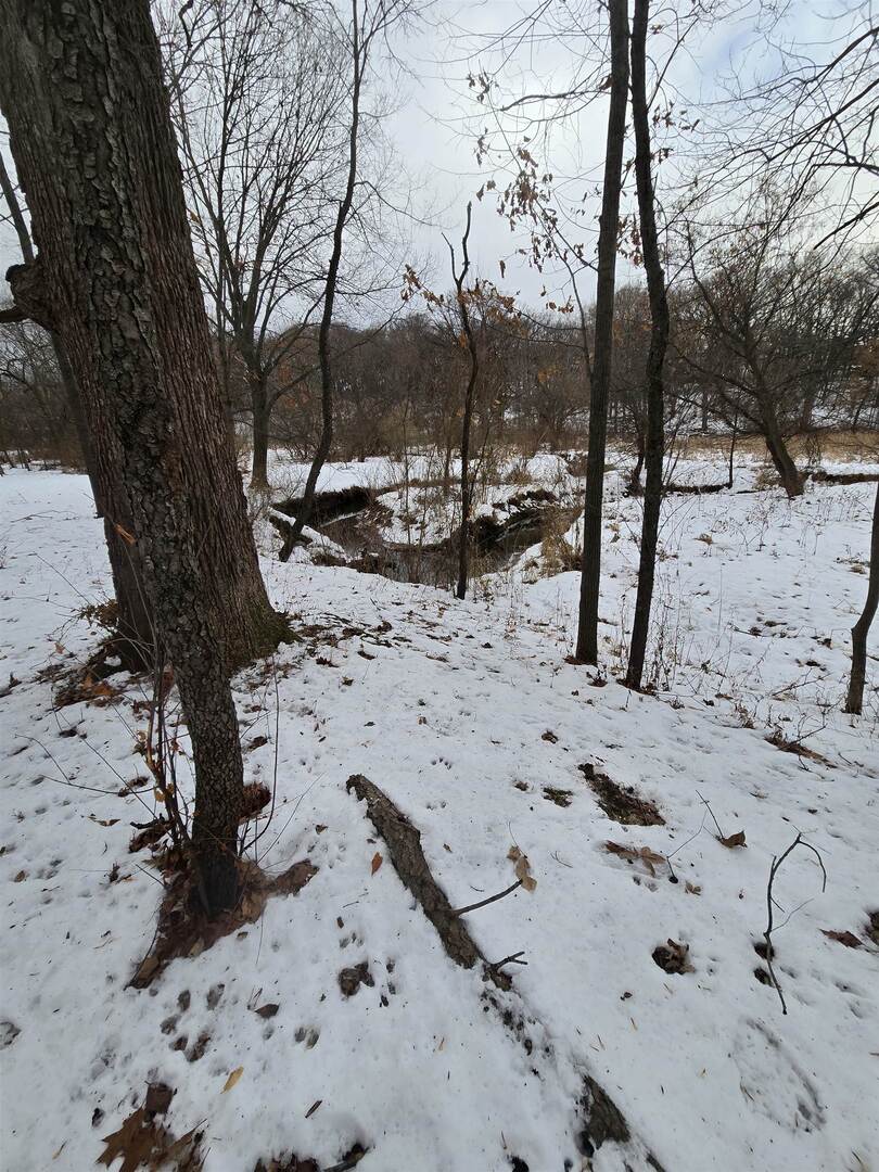 12719 Garden Plain Road Morrison, IL 61270 - Photo 82 of 85