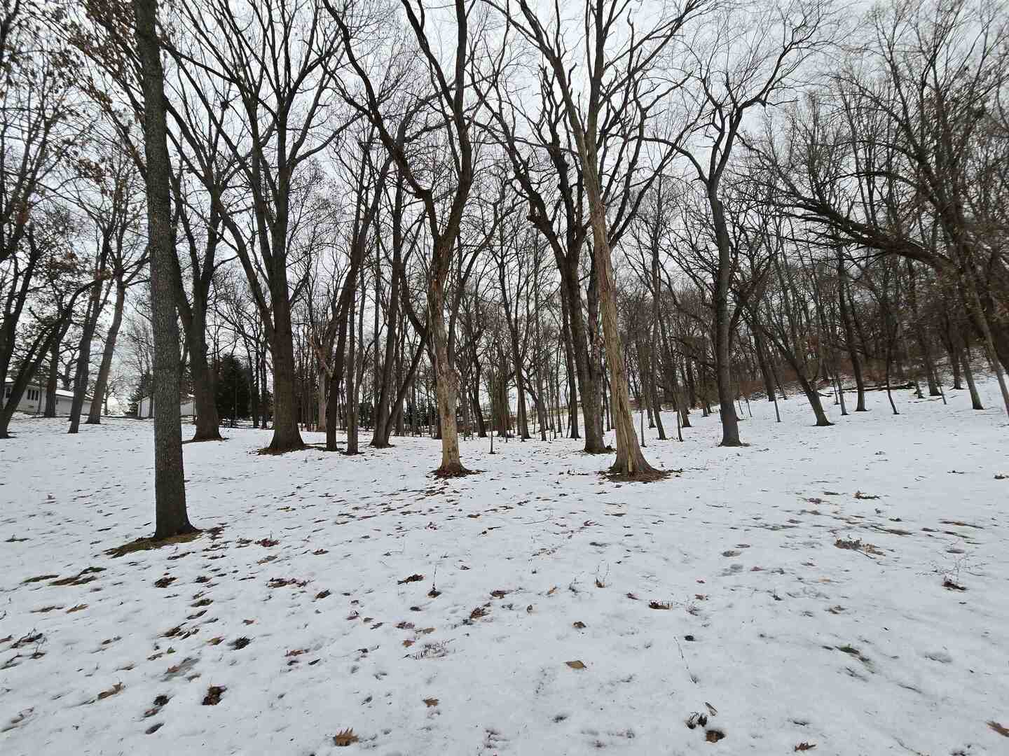 12719 Garden Plain Road Morrison, IL 61270 - Photo 83 of 85