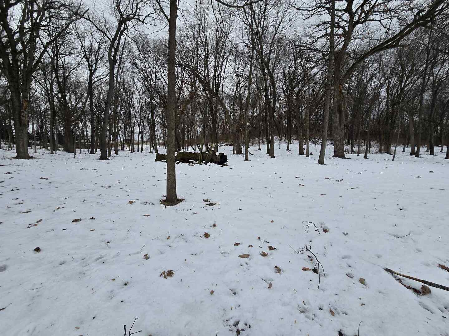 12719 Garden Plain Road Morrison, IL 61270 - Photo 85 of 85 a view of snow on the road
