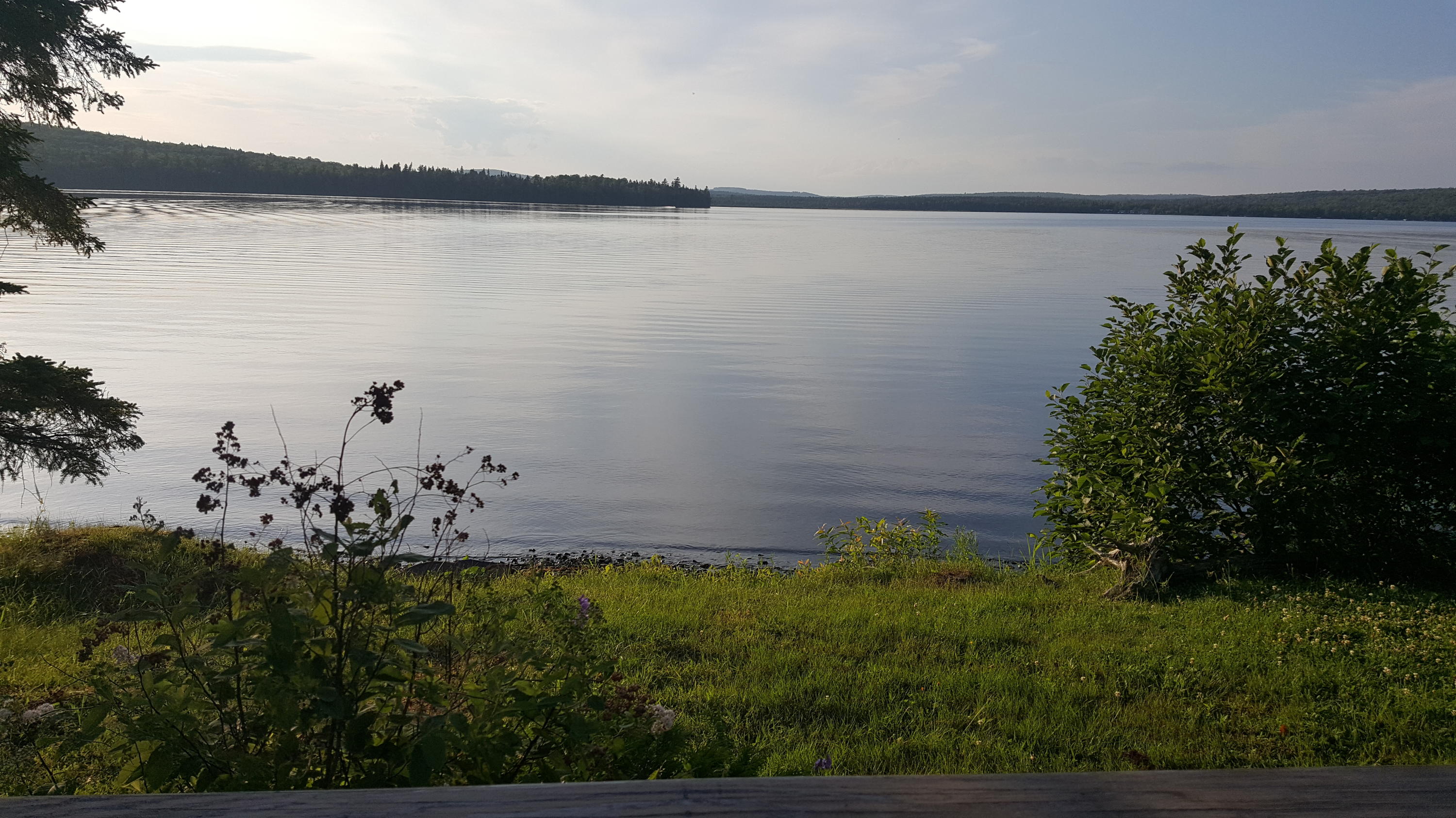 887 South Shore Road Stockholm, ME 04783 - Photo 31 of 33 20190729_185313