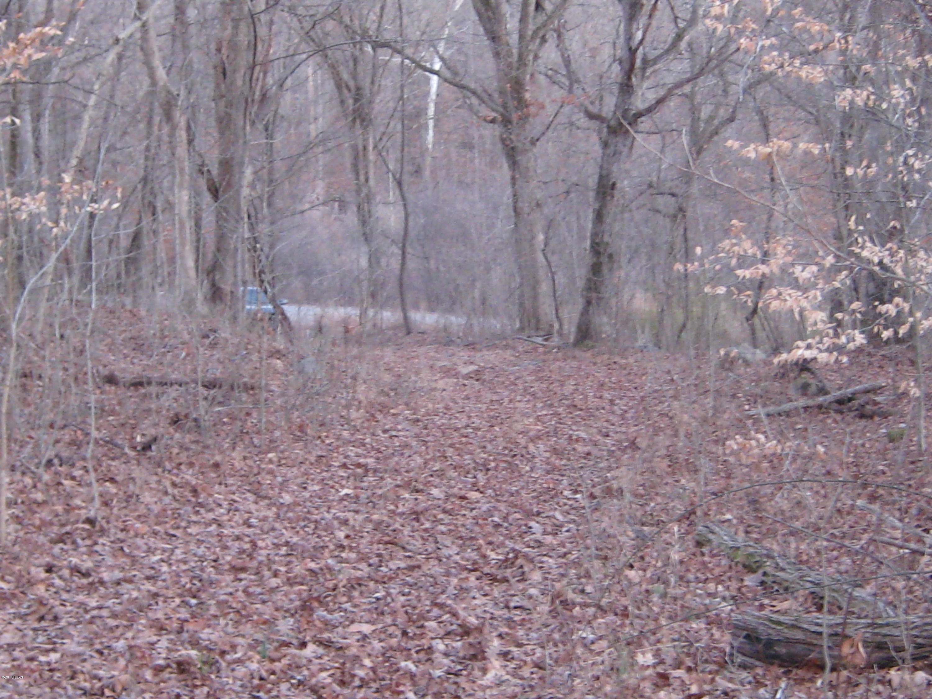 0 Dry Fork Road Elizabethtown, IL 62931 - Photo 1 of 8