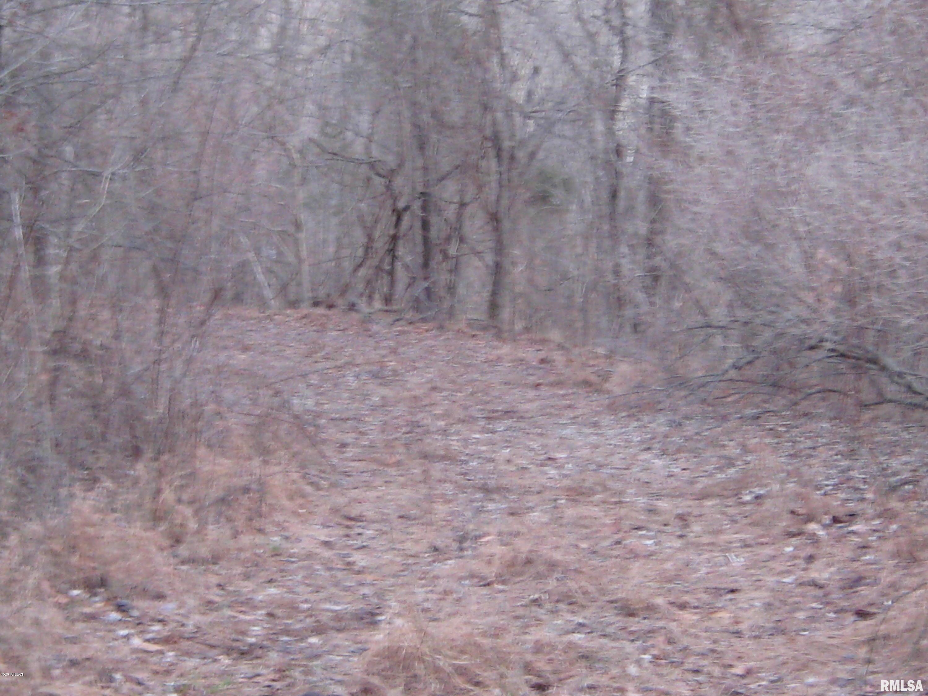0 Dry Fork Road Elizabethtown, IL 62931 - Photo 2 of 8