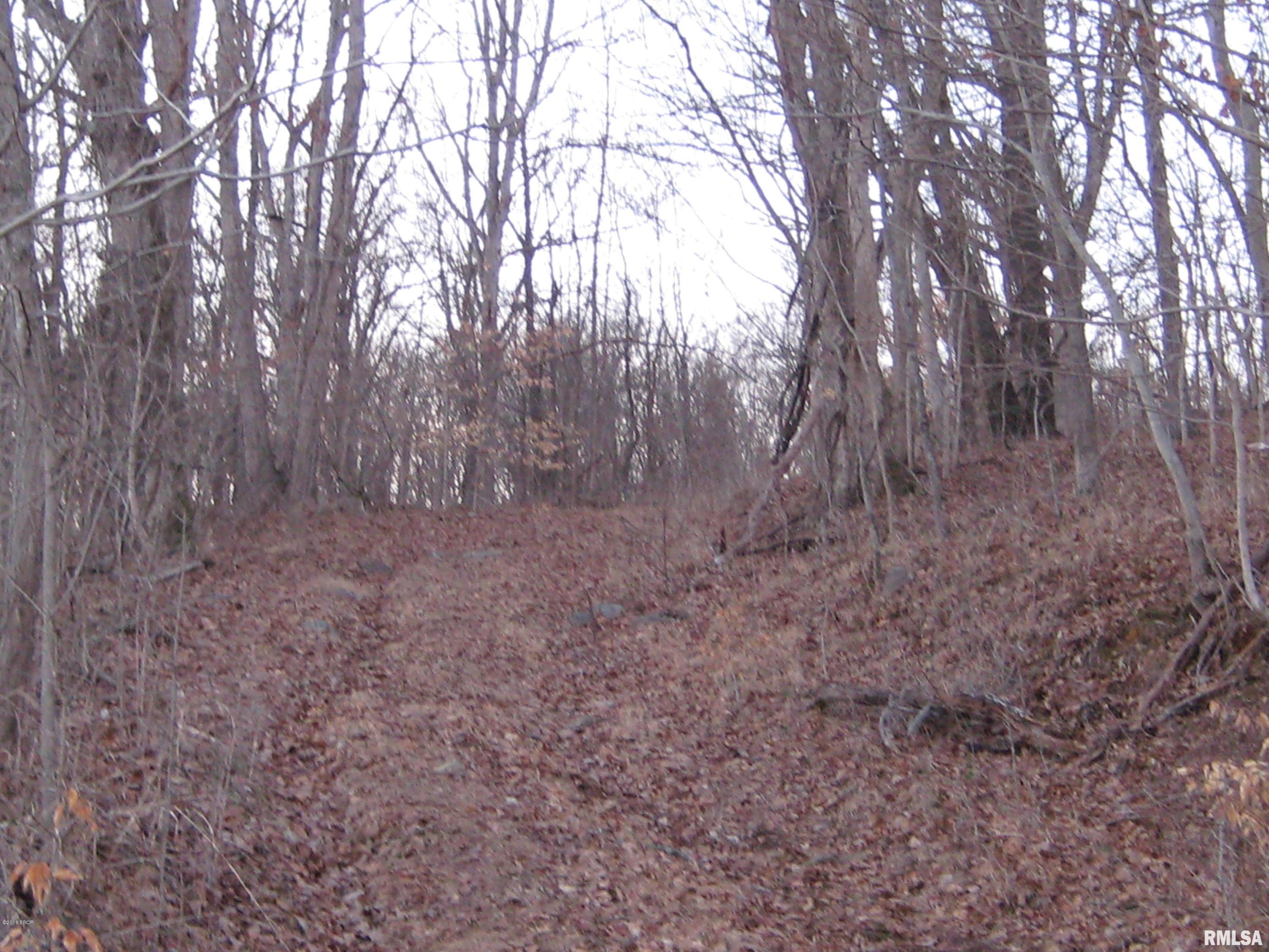 0 Dry Fork Road Elizabethtown, IL 62931 - Photo 3 of 8