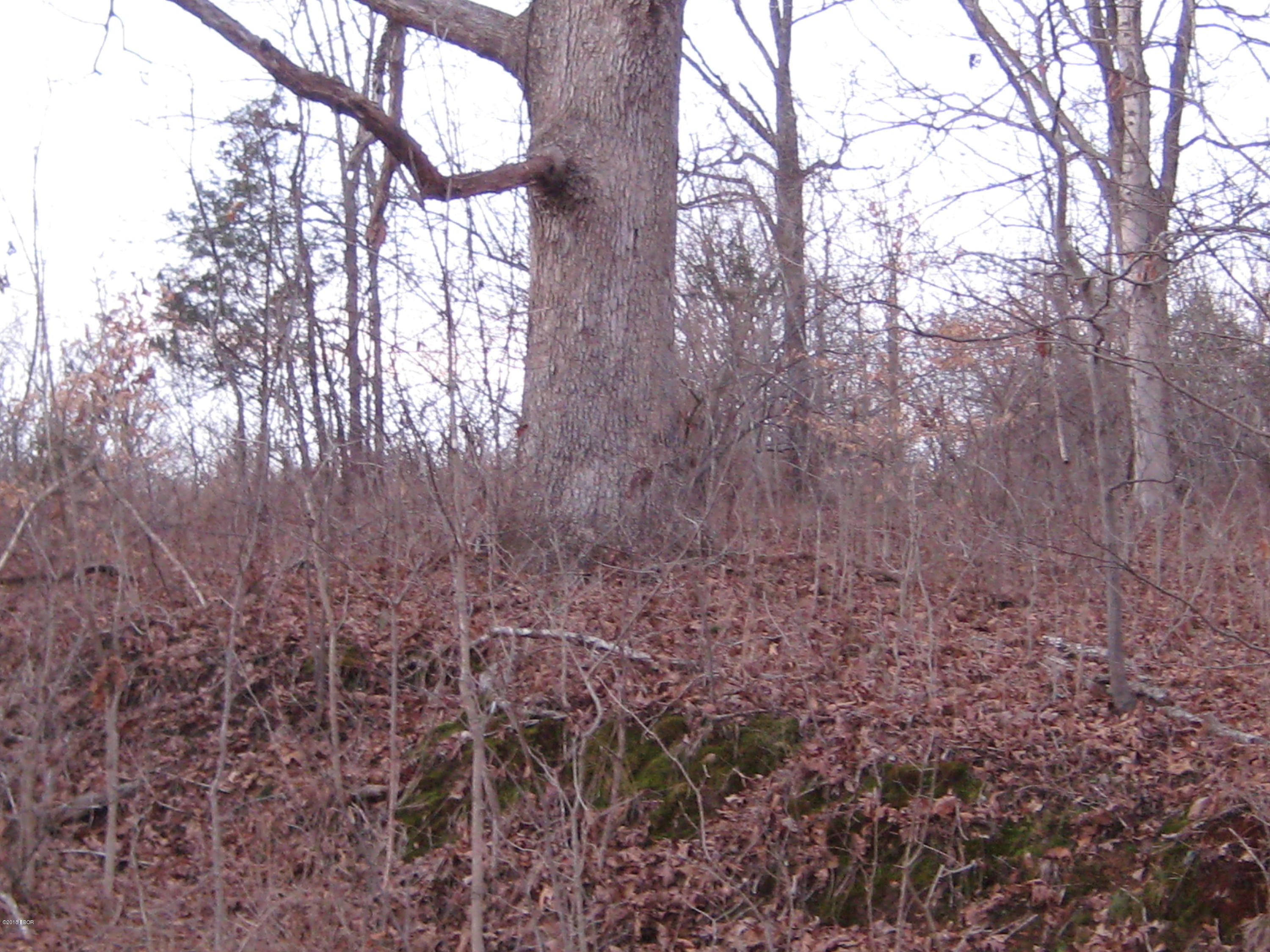 0 Dry Fork Road Elizabethtown, IL 62931 - Photo 4 of 8