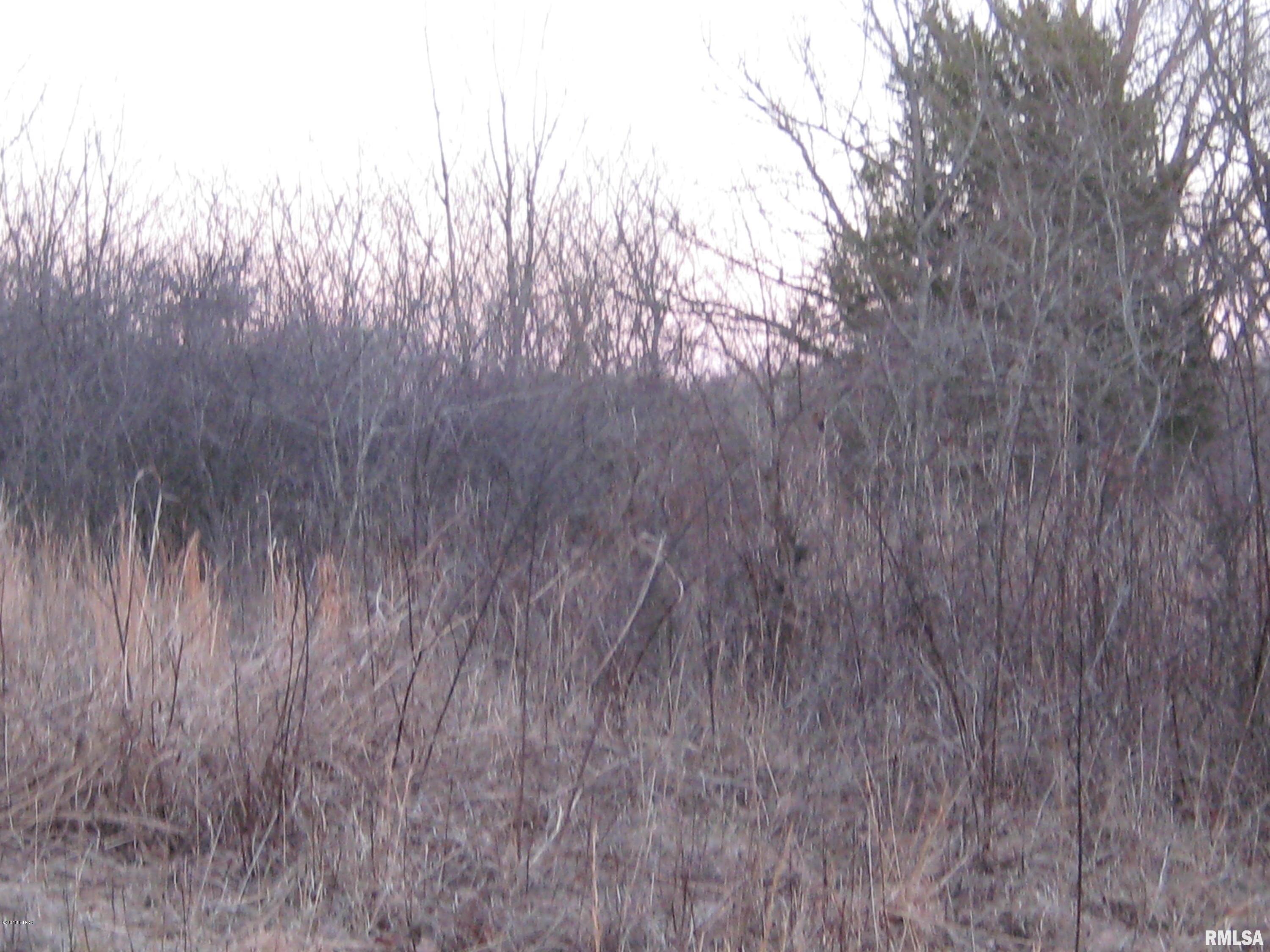 0 Dry Fork Road Elizabethtown, IL 62931 - Photo 5 of 8
