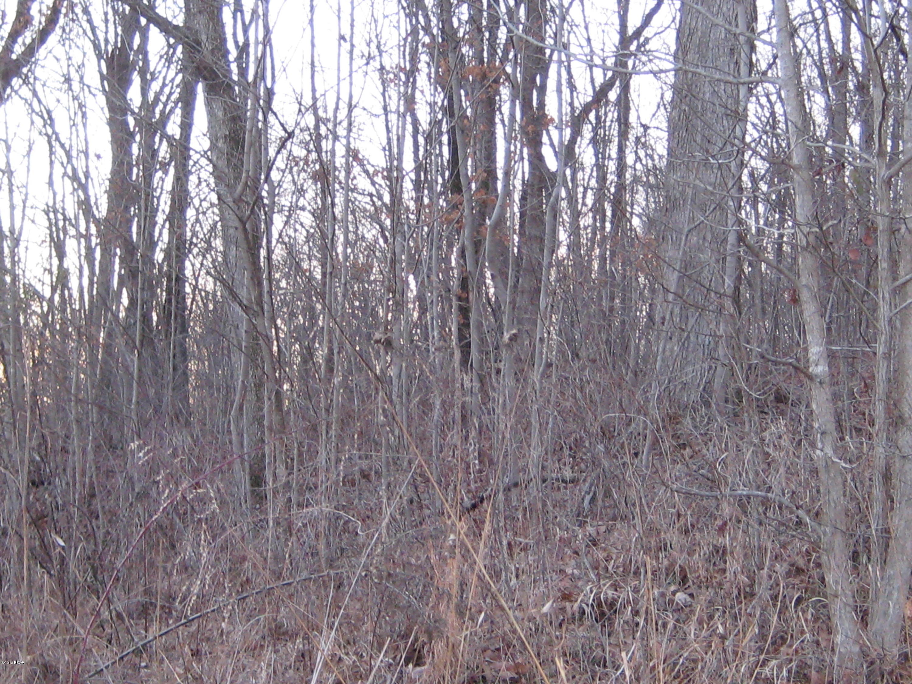 0 Dry Fork Road Elizabethtown, IL 62931 - Photo 6 of 8