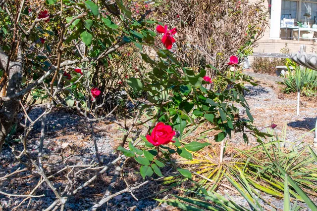 $325,000 | 1515 Brookstone Drive, Graniteville, SC 29829