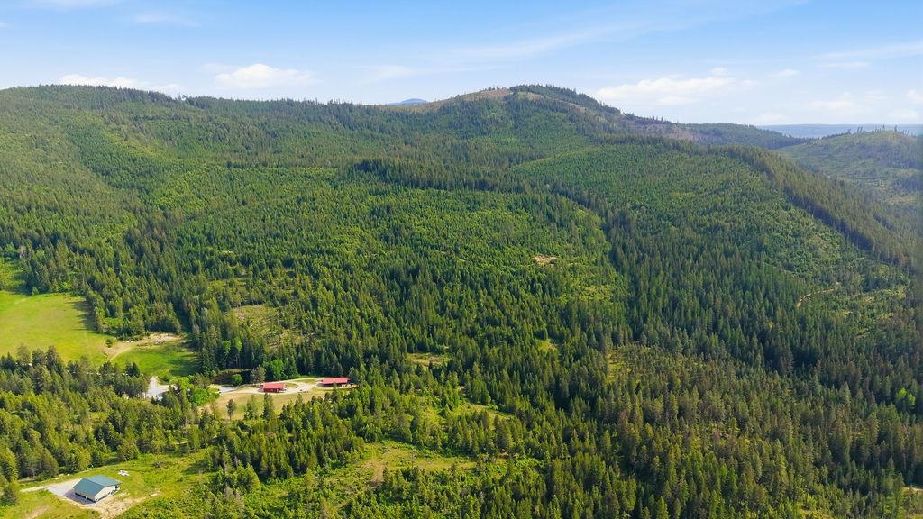 1240 Doe Mdw Road Newport, WA 99156 - Photo 5 of 50