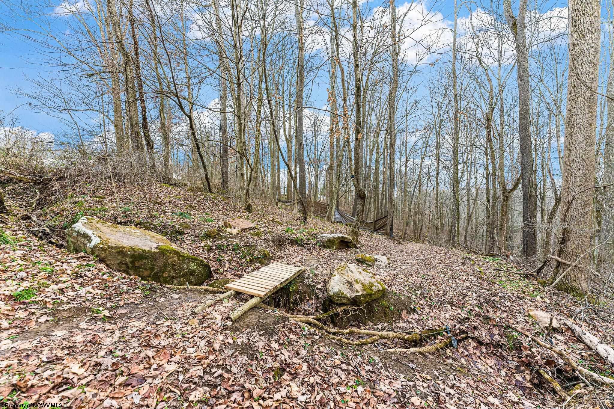 Tbd Coal Lick Road Albright, WV 26519 - Photo 9 of 21 Gallery Image 9