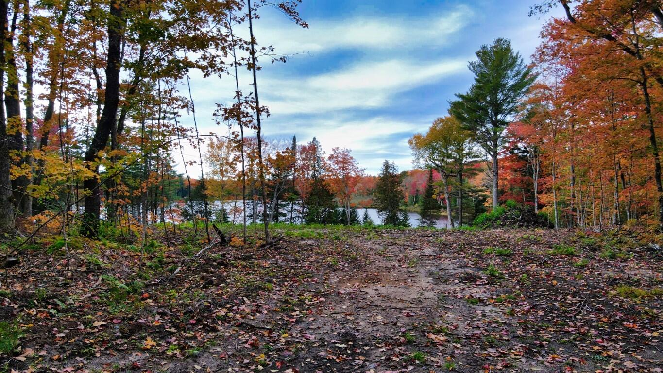 2029 Carpenter Lake Road Seney, MI 49883 - Photo 30 of 35 Gallery Image 30