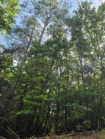 $20,000 | 0 Dogwood Lane, Dunlap, TN 37327