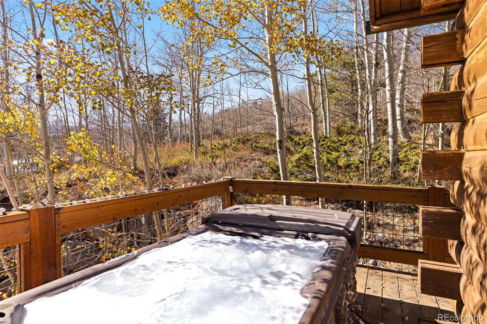 496 Blue Ridge Road Silverthorne, CO 80498 - Photo 32 of 40 Gallery Image 32