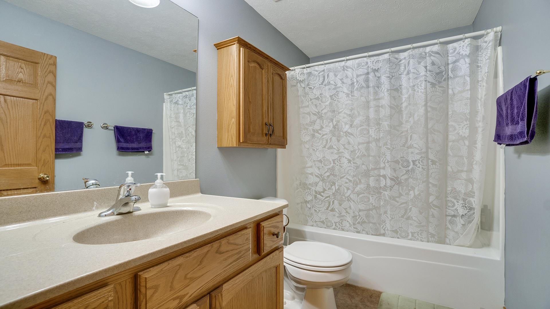 669 Lake Summerset Road Davis, IL 61019 - Photo 15 of 36 a bathroom with a sink and a mirror