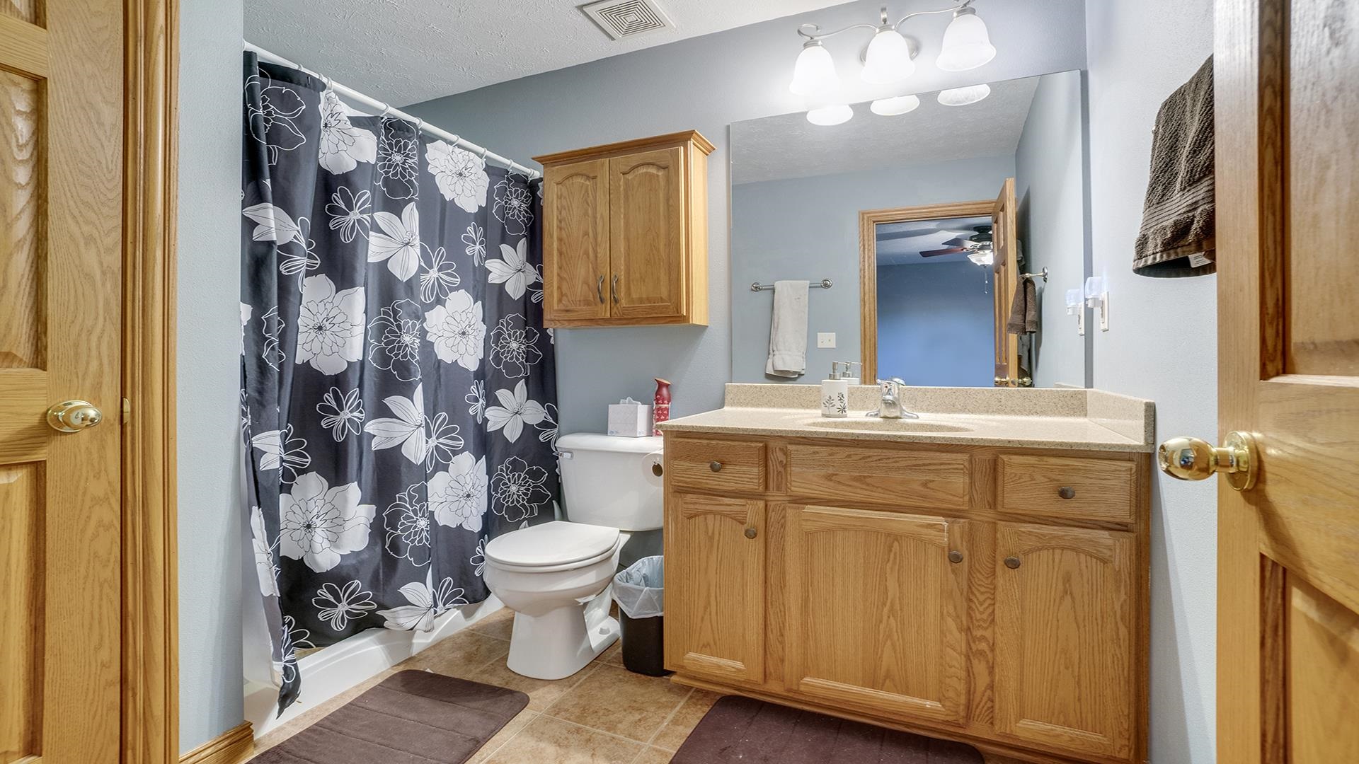 669 Lake Summerset Road Davis, IL 61019 - Photo 18 of 36 a bathroom with a sink toilet and shower