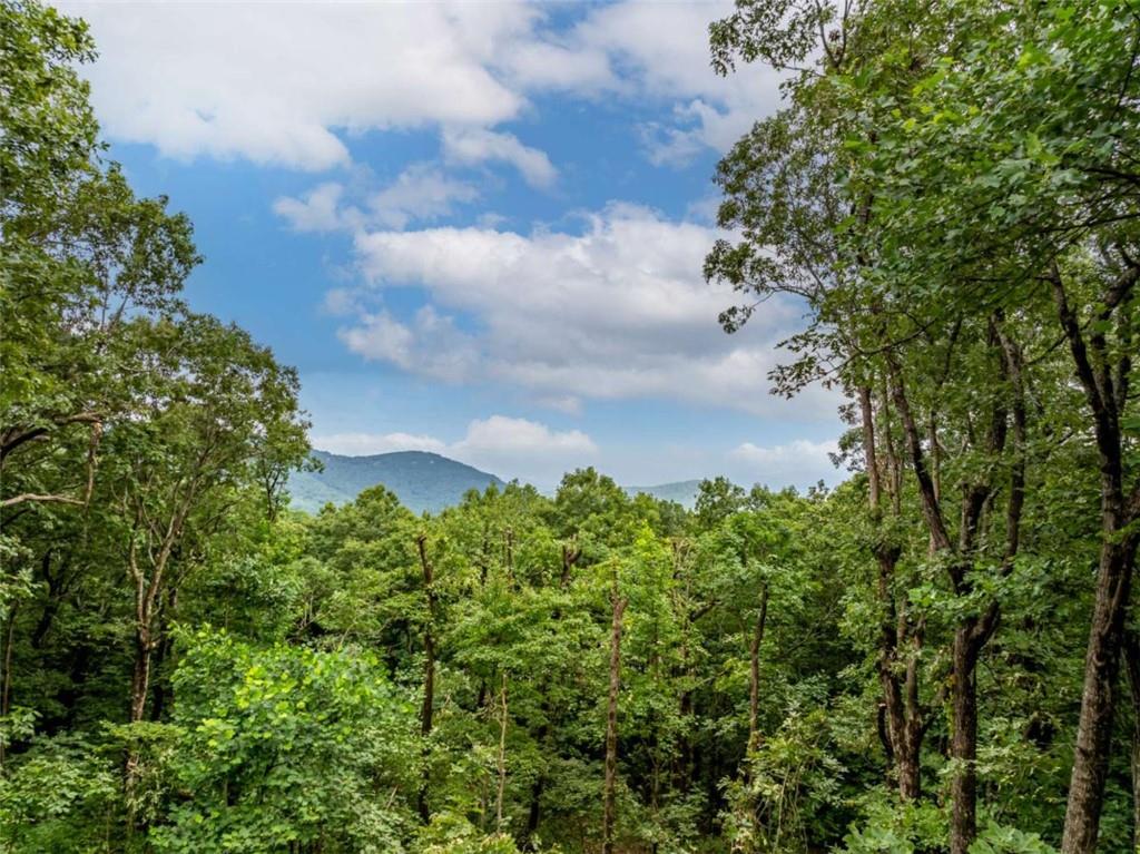 31 High Cliff Road Jasper, GA 30143 - Photo 44 of 50 a backyard of a house with lots of green space