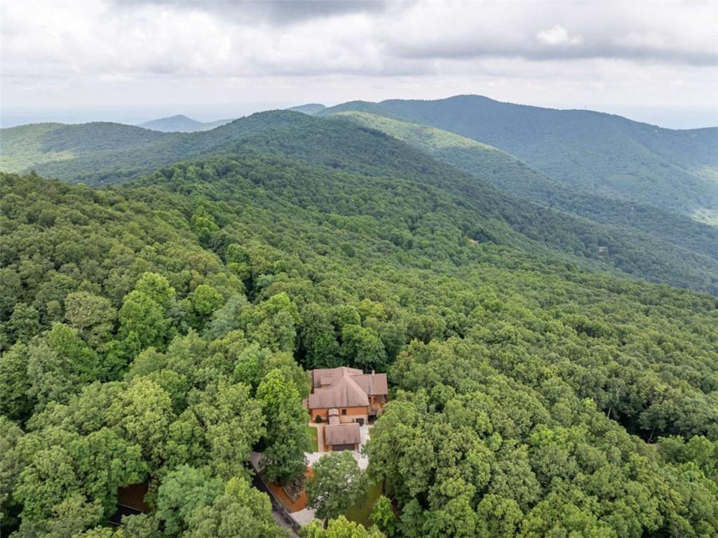 31 High Cliff Road Jasper, GA 30143 - Photo 47 of 50 a view of a forest with a mountain in the background
