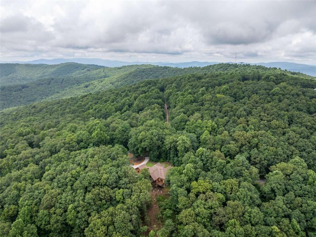 31 High Cliff Road Jasper, GA 30143 - Photo 49 of 50 a view of a field of grass and trees