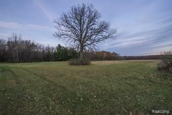 7177 North Jefferson Road Rhodes, MI 48652 - Photo 43 of 51