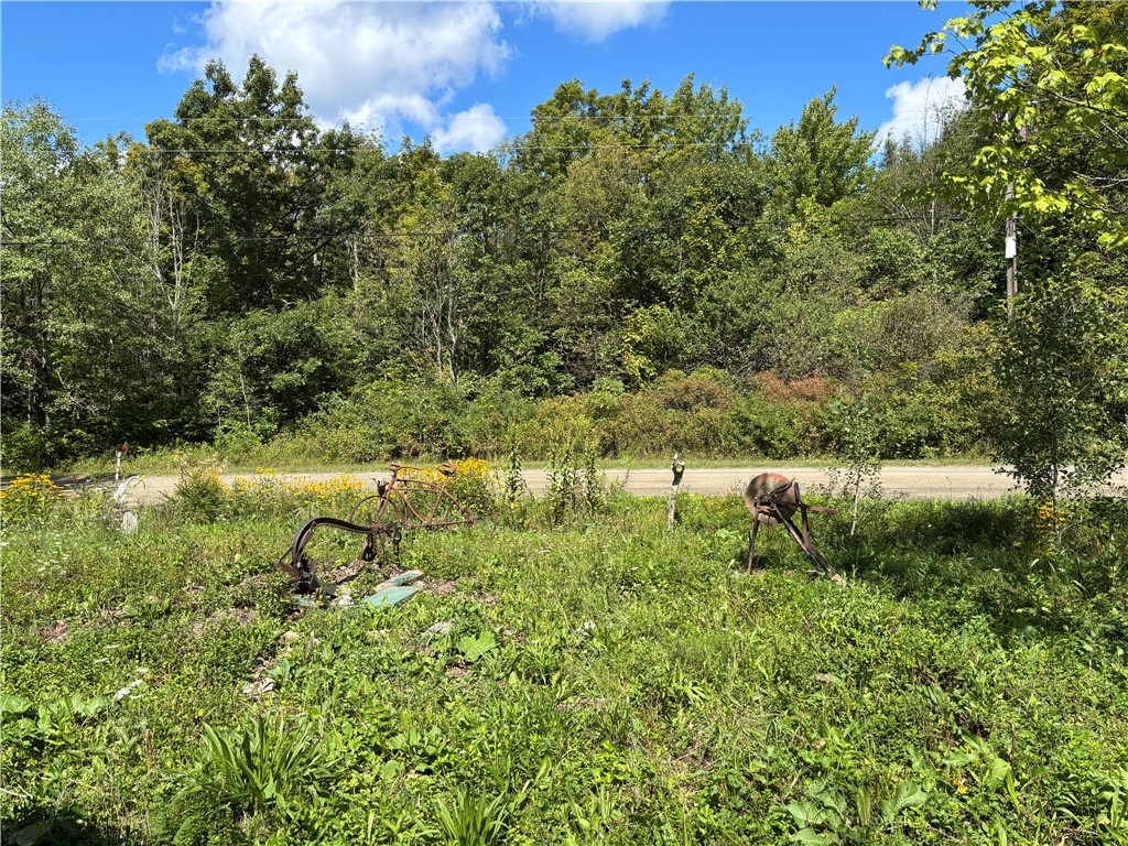 164 Joe Chamberlain Road Roseboom, NY 13320 - Photo 19 of 32