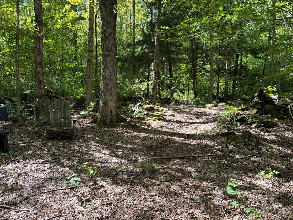 164 Joe Chamberlain Road Roseboom, NY 13320 - Photo 29 of 32 Sitting area on top along with the trail into the