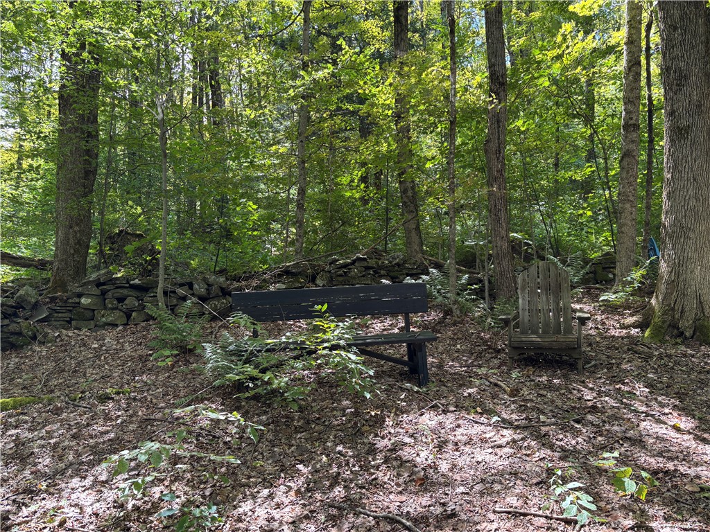 164 Joe Chamberlain Road Roseboom, NY 13320 - Photo 30 of 32 Rock wall is the boundary line indicator for the s