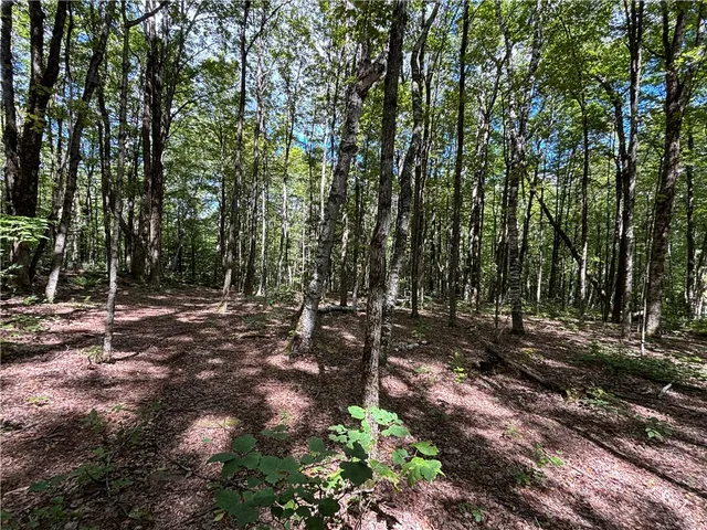 $63,000 | 164 Joe Chamberlain Road, Roseboom, NY 13320