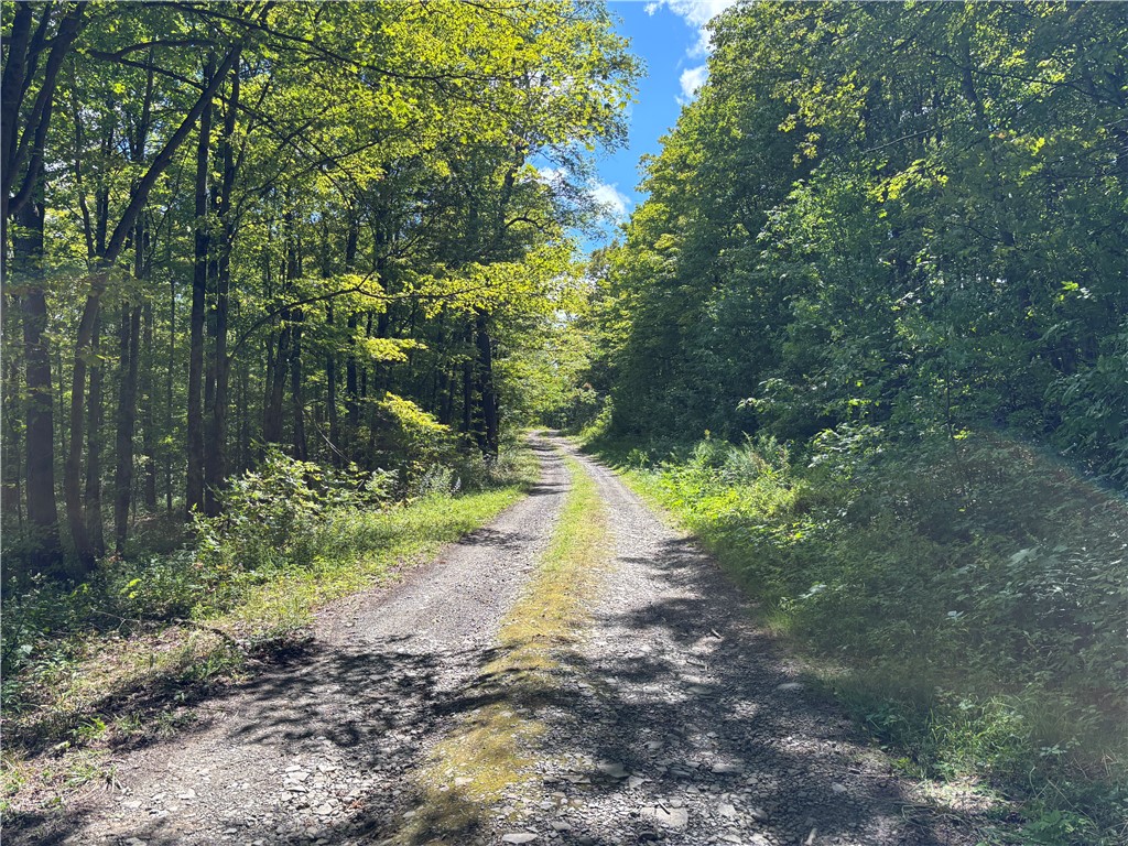 164 Joe Chamberlain Road Roseboom, NY 13320 - Photo 32 of 32 Joe Chamberlain seasonal road at the end heading u