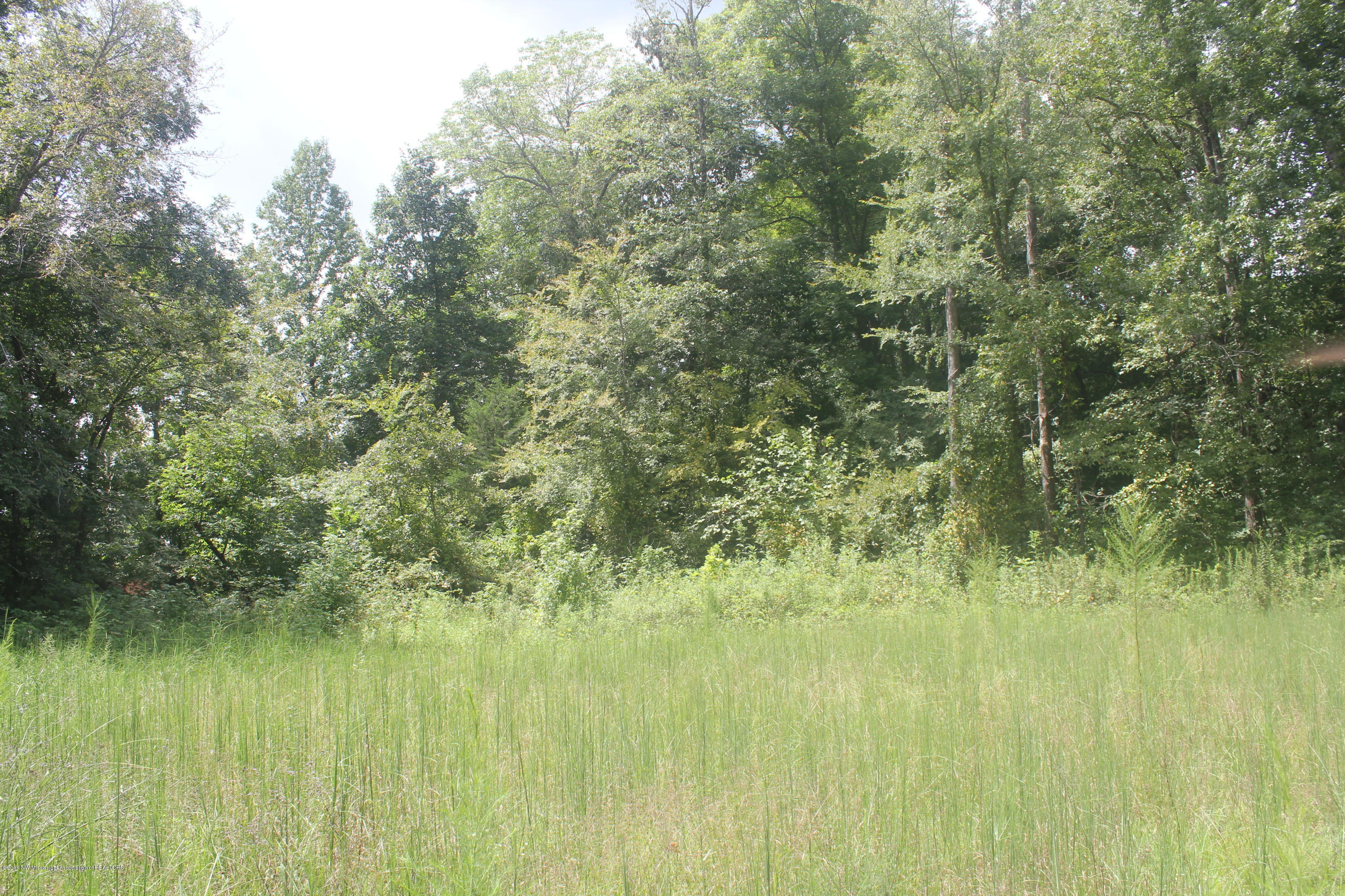 50 Moore Road Holly Springs, MS 38635 - Photo 1 of 33 027