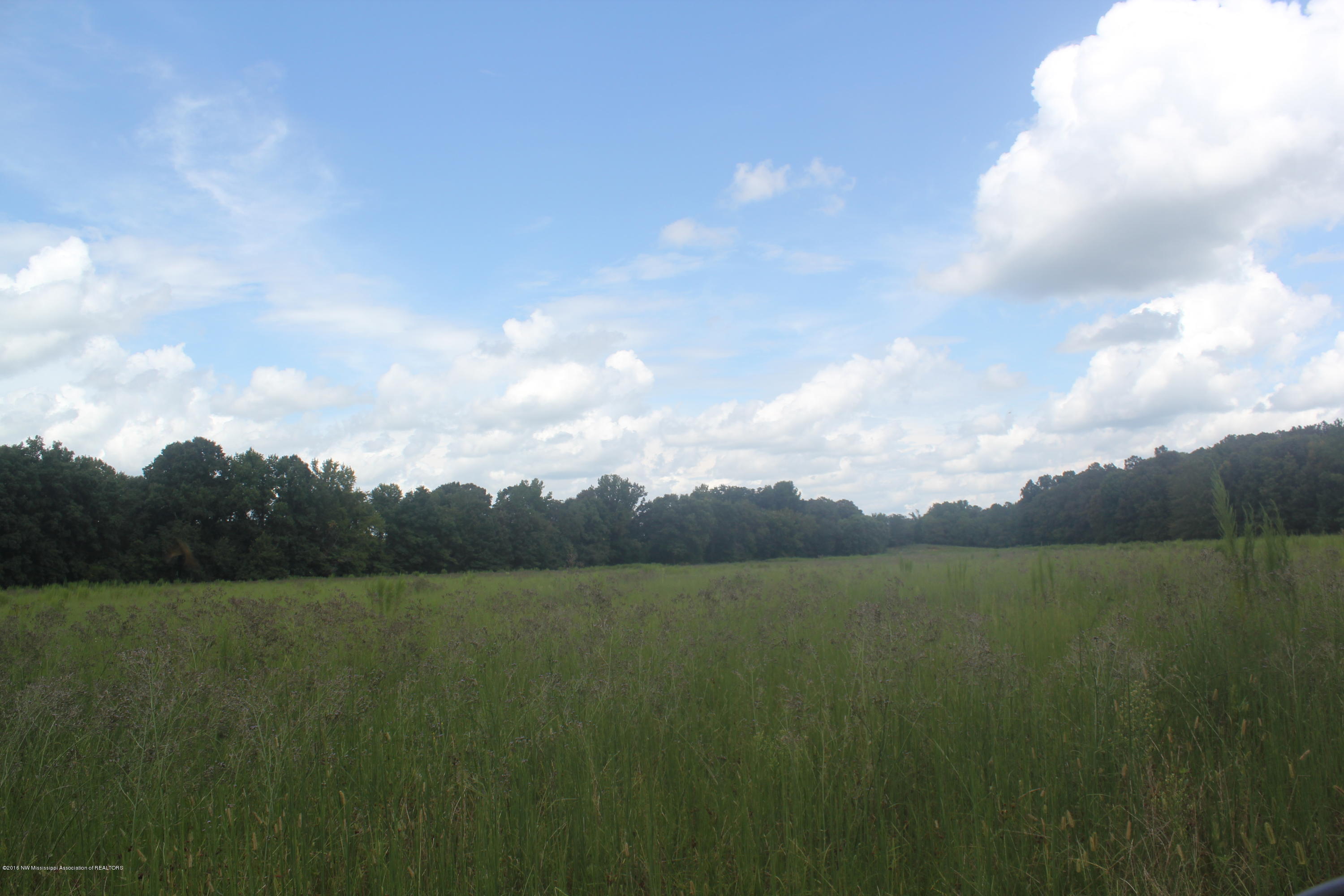 50 Moore Road Holly Springs, MS 38635 - Photo 11 of 33 037