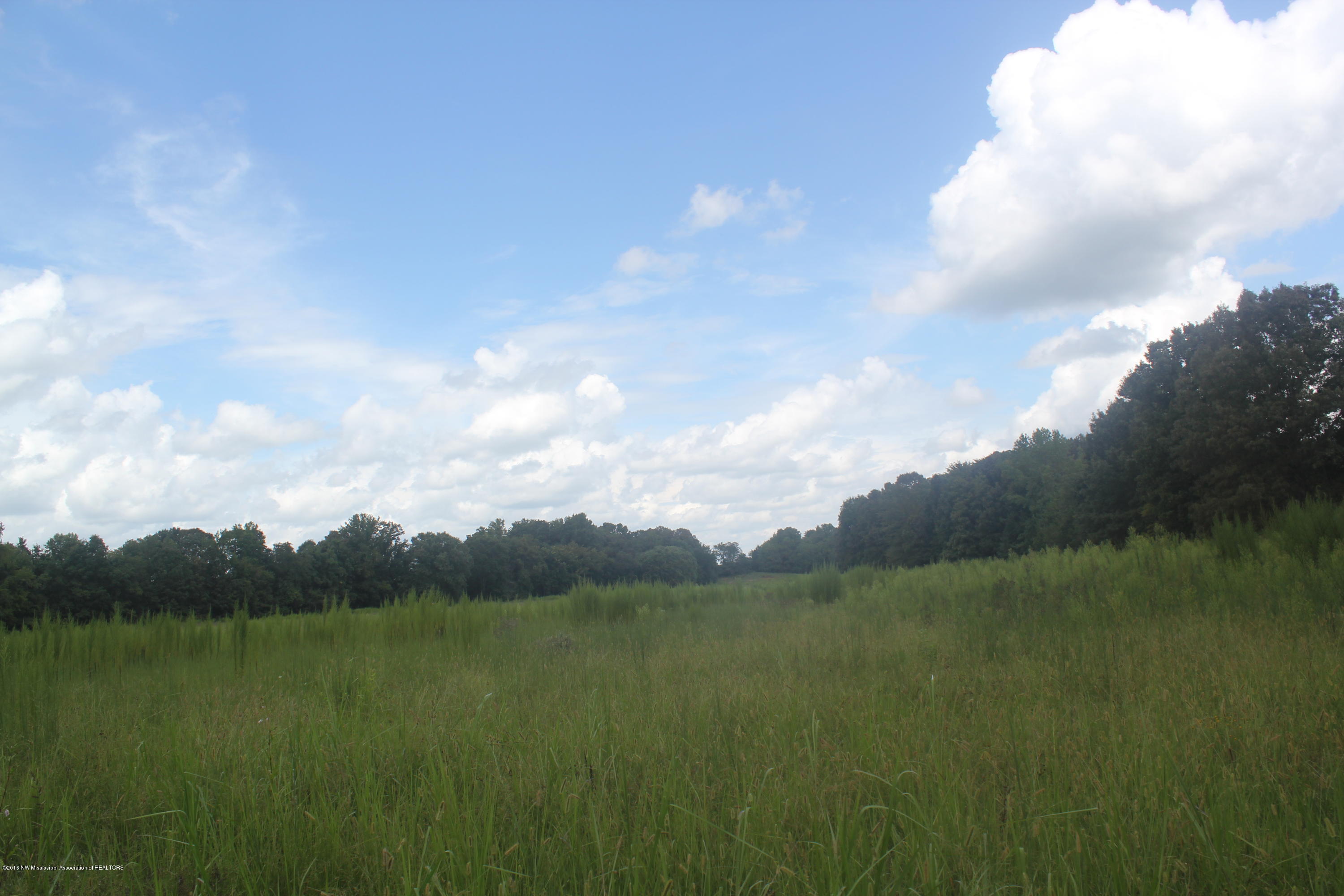 50 Moore Road Holly Springs, MS 38635 - Photo 12 of 33 038