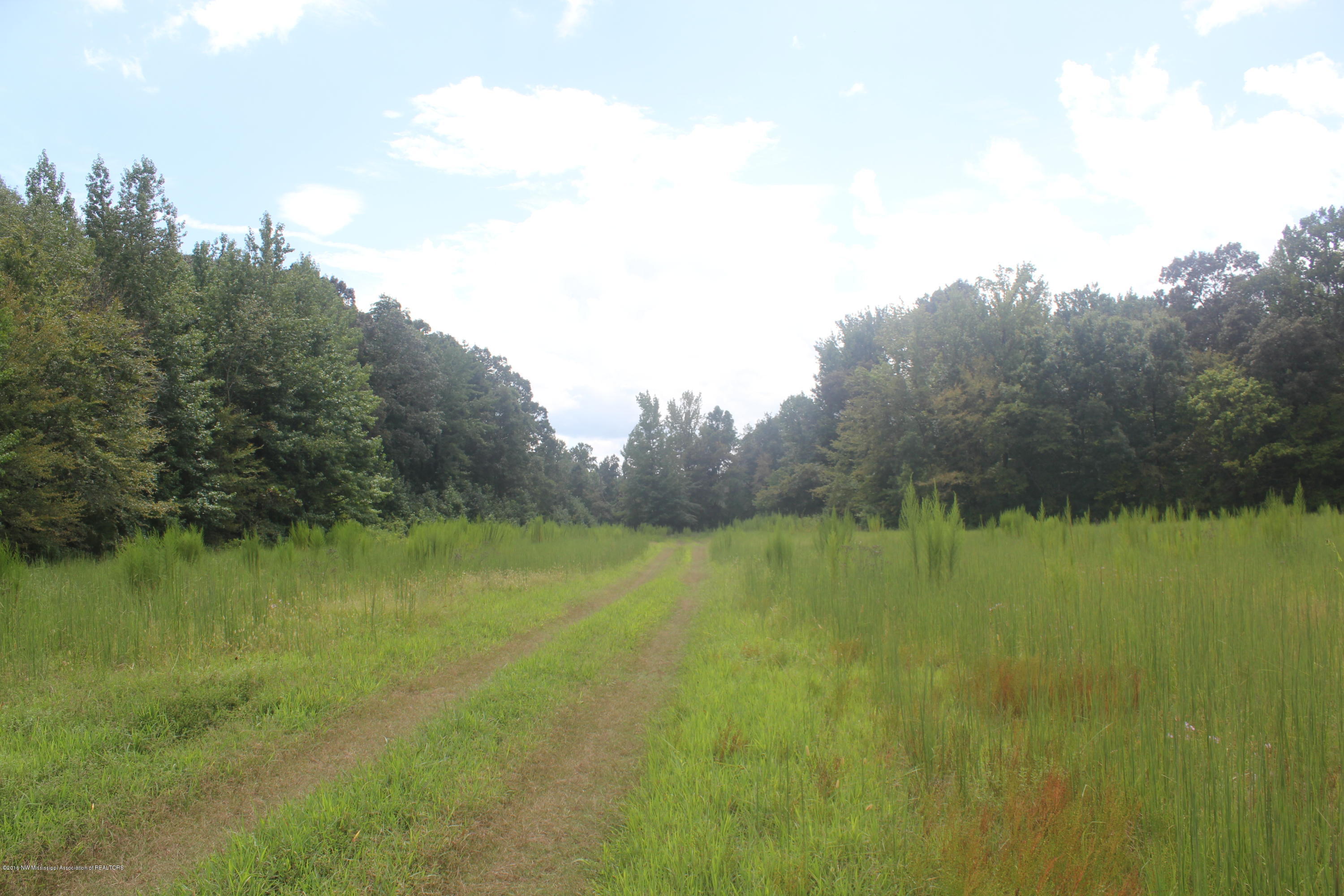 50 Moore Road Holly Springs, MS 38635 - Photo 14 of 33 040