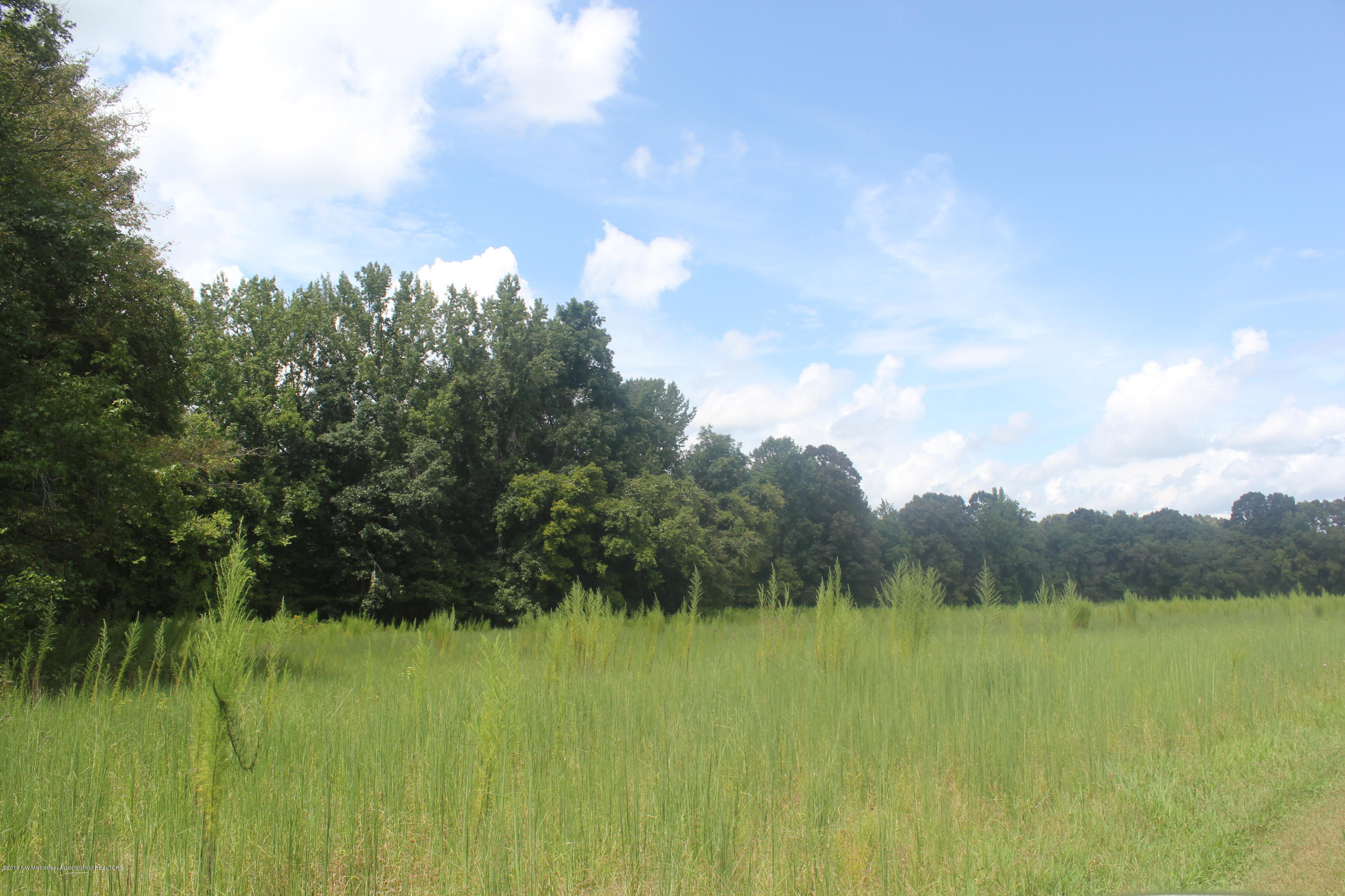 50 Moore Road Holly Springs, MS 38635 - Photo 2 of 33 028