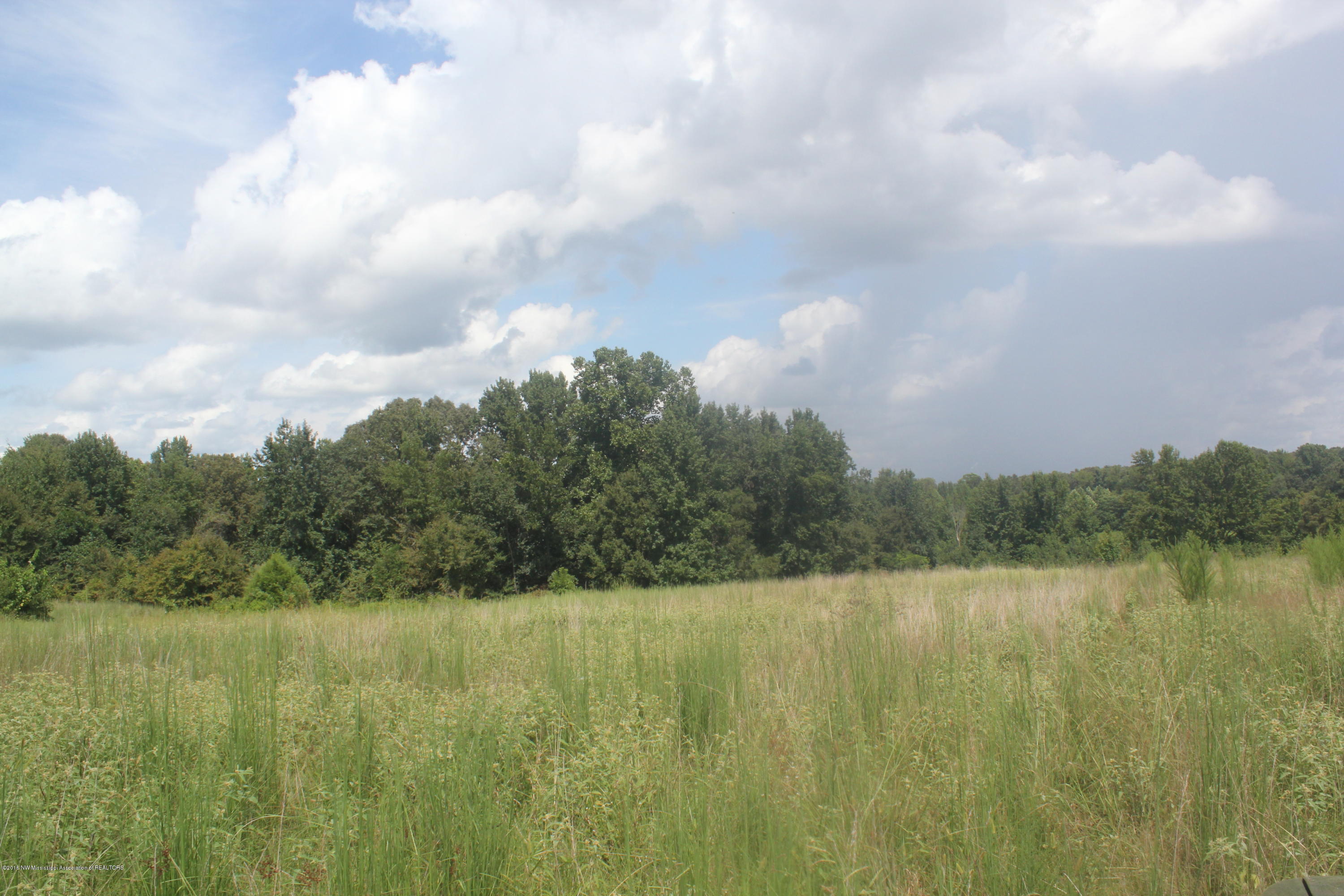 50 Moore Road Holly Springs, MS 38635 - Photo 26 of 33 052