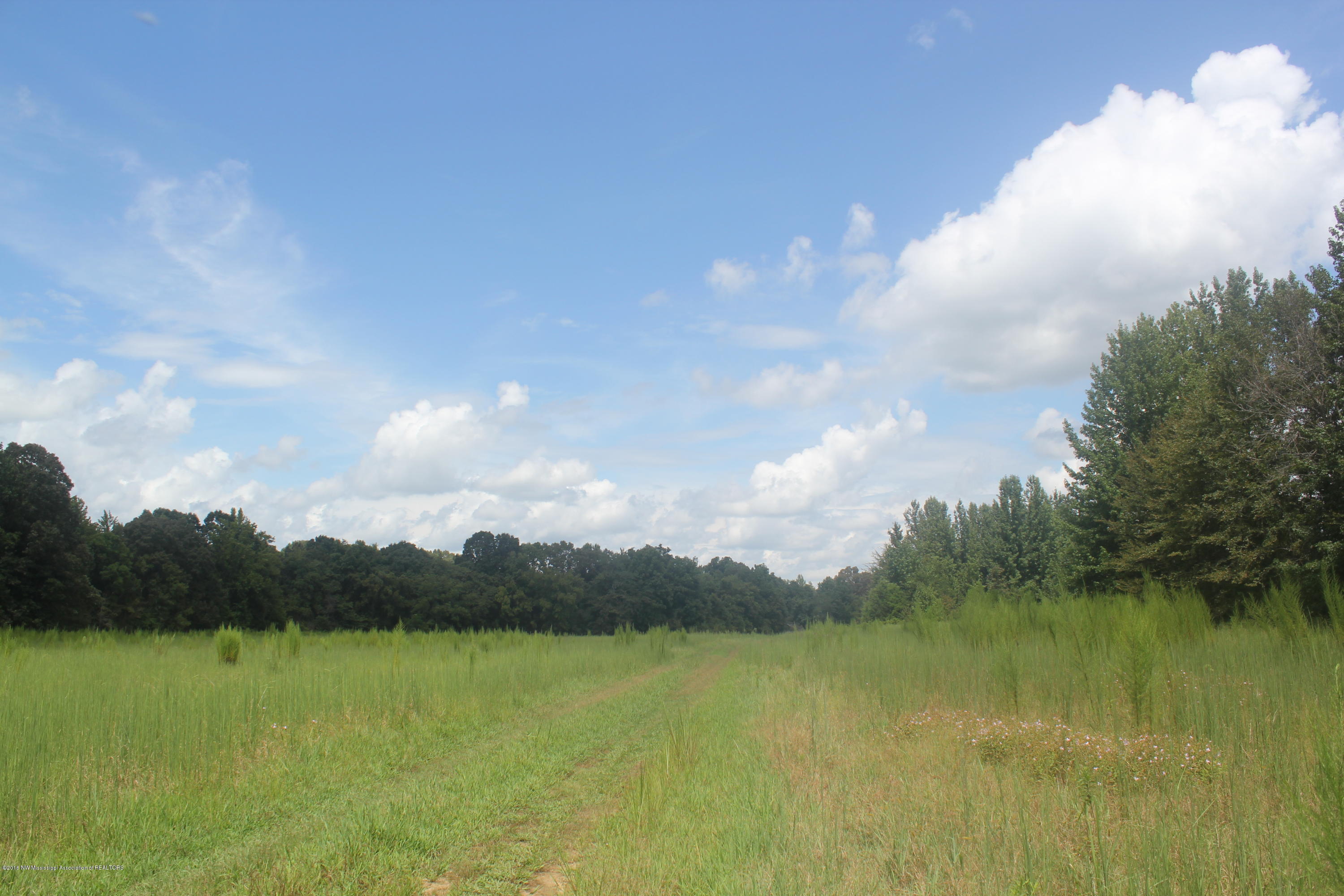 50 Moore Road Holly Springs, MS 38635 - Photo 3 of 33 029