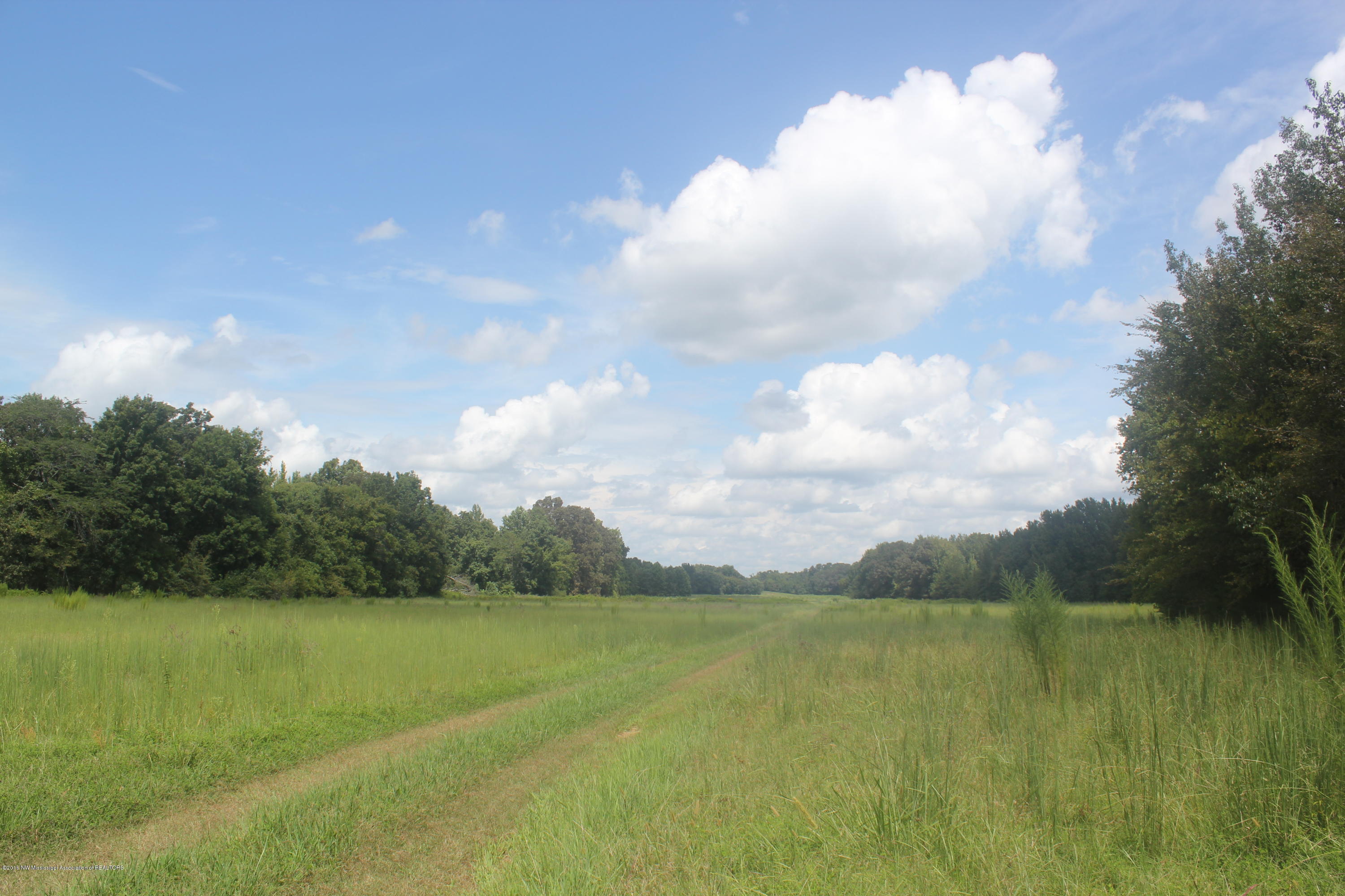 50 Moore Road Holly Springs, MS 38635 - Photo 5 of 33 031