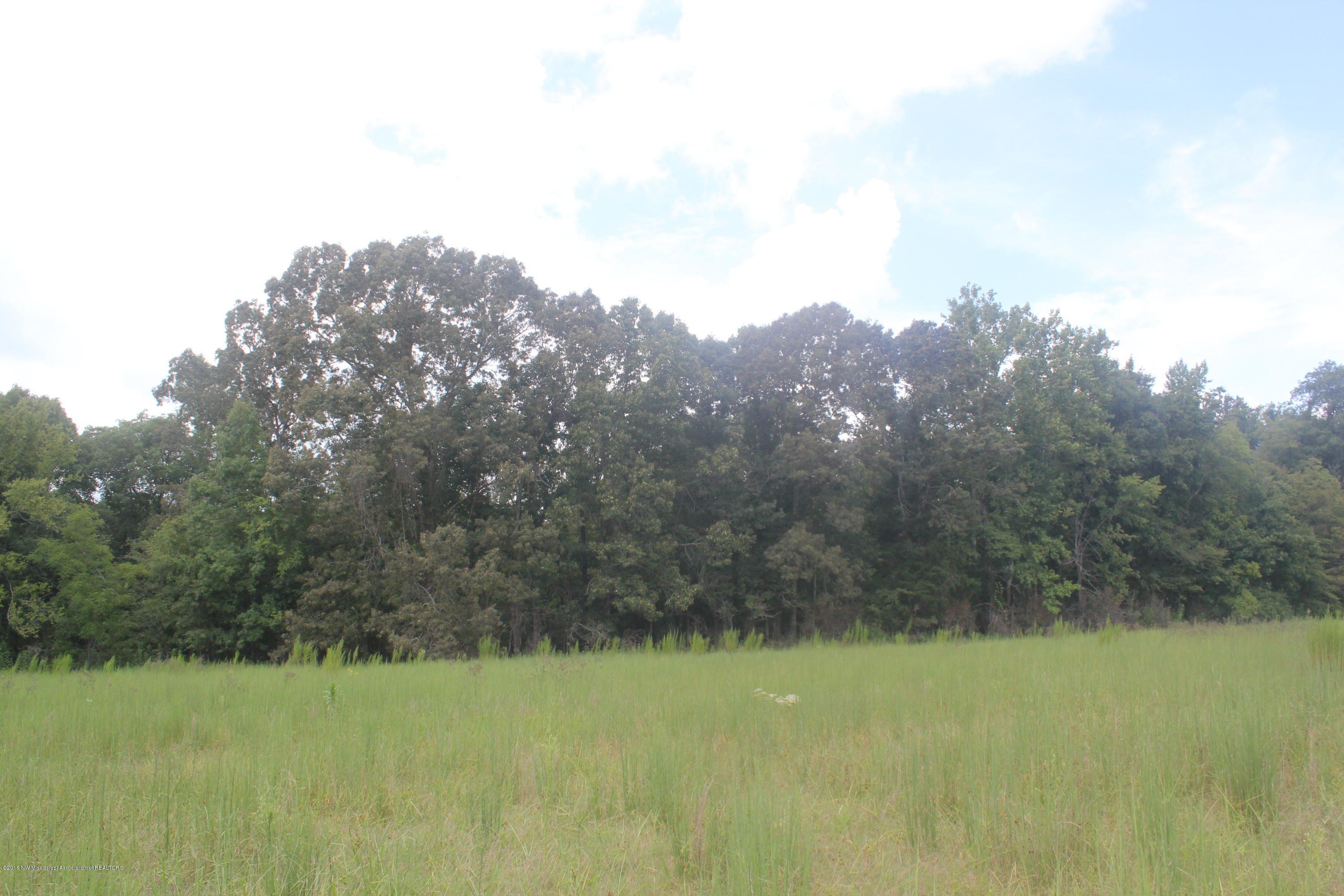 50 Moore Road Holly Springs, MS 38635 - Photo 10 of 33 036