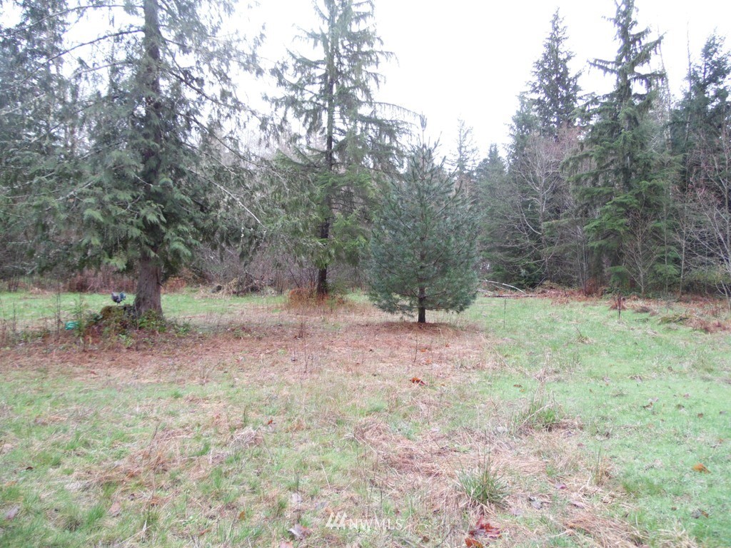 1011-7 Peters Road Randle, WA 98377 - Photo 11 of 12 Gallery Image 11