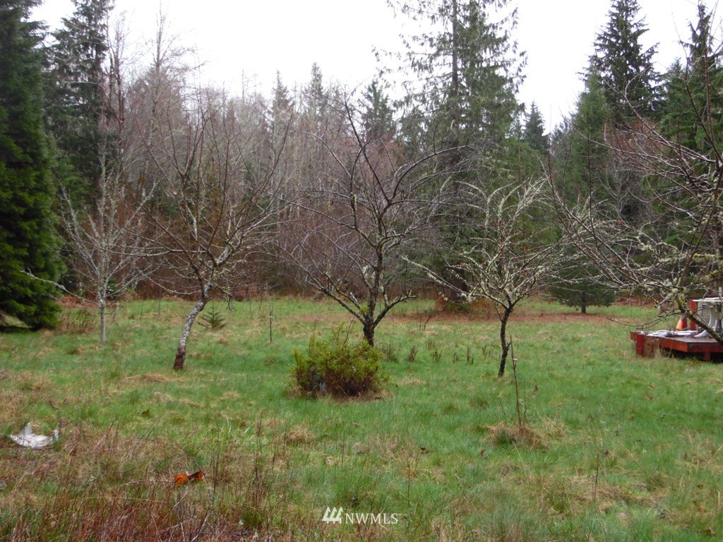 1011-7 Peters Road Randle, WA 98377 - Photo 6 of 12 Gallery Image 6