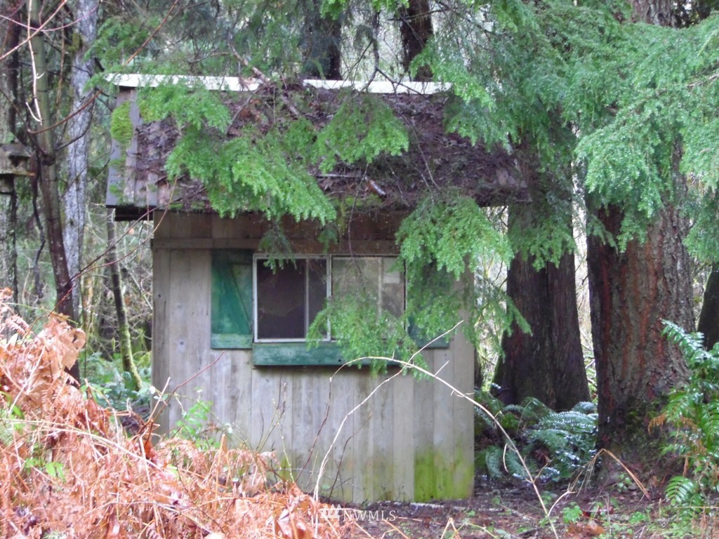 1011-7 Peters Road Randle, WA 98377 - Photo 7 of 12 Gallery Image 7